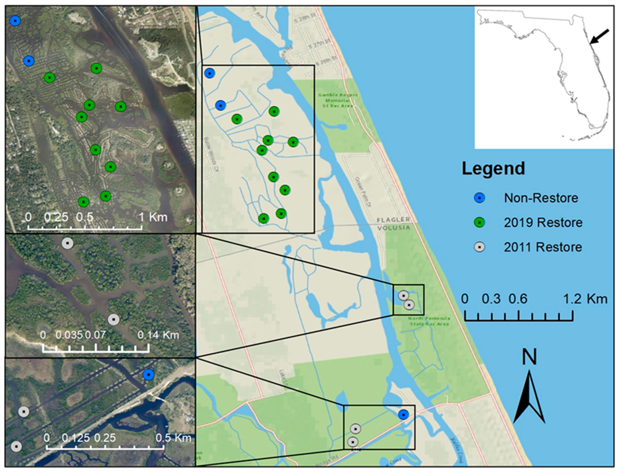 Sustainability 13 13299 g001