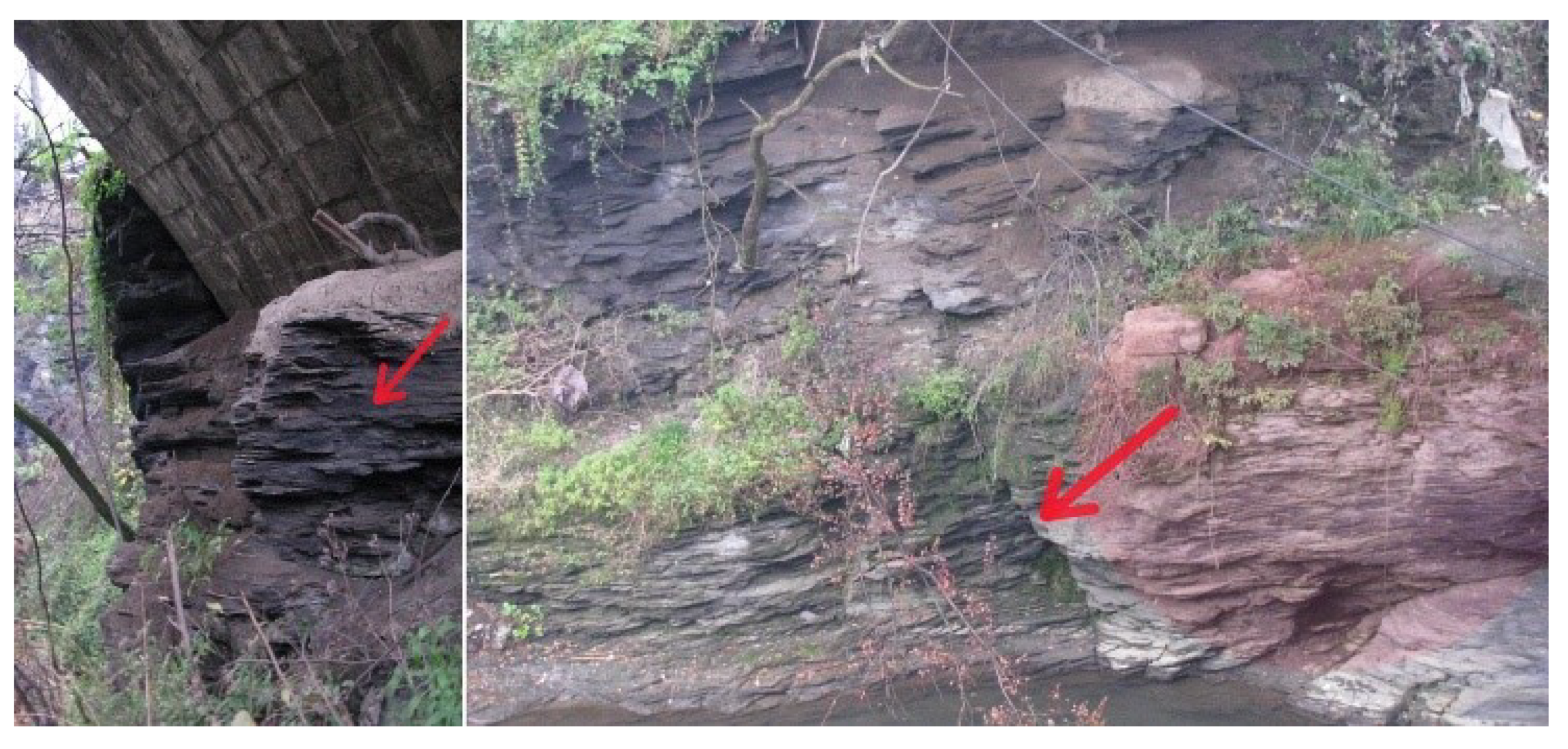 Sustainability 13 13363 g008 550