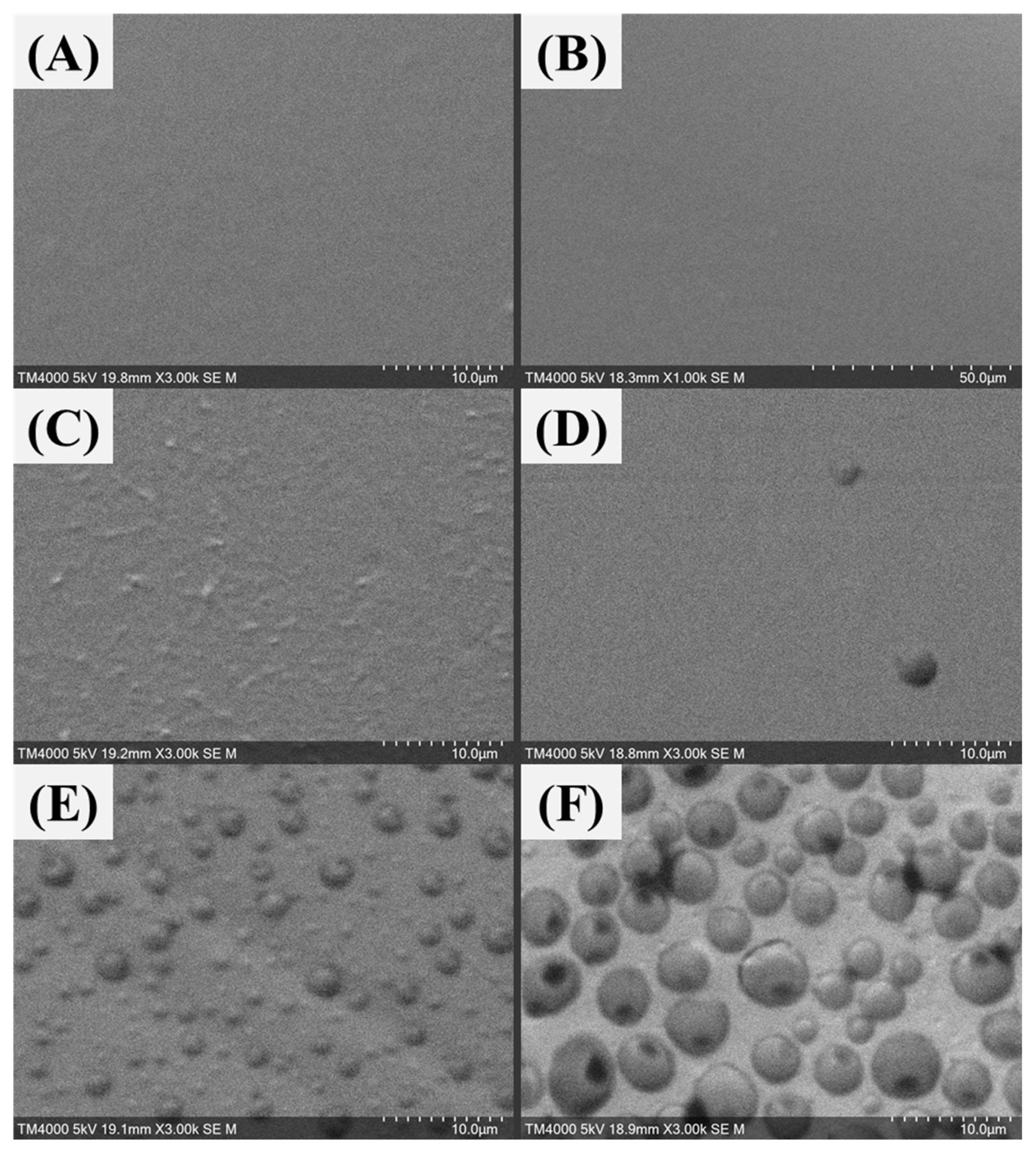 Sustainability 13 13367 g015 550