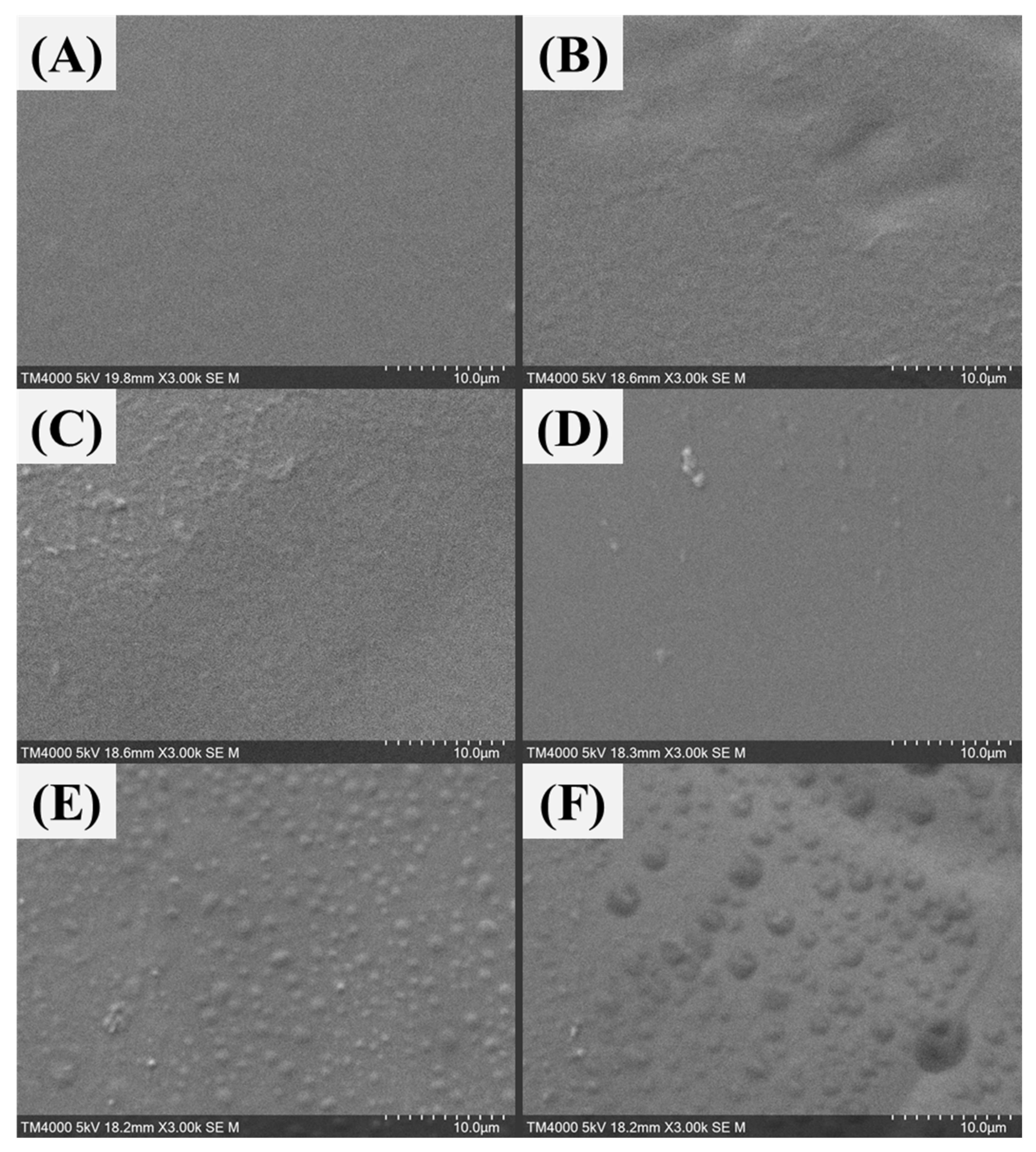 Sustainability 13 13367 g016 550