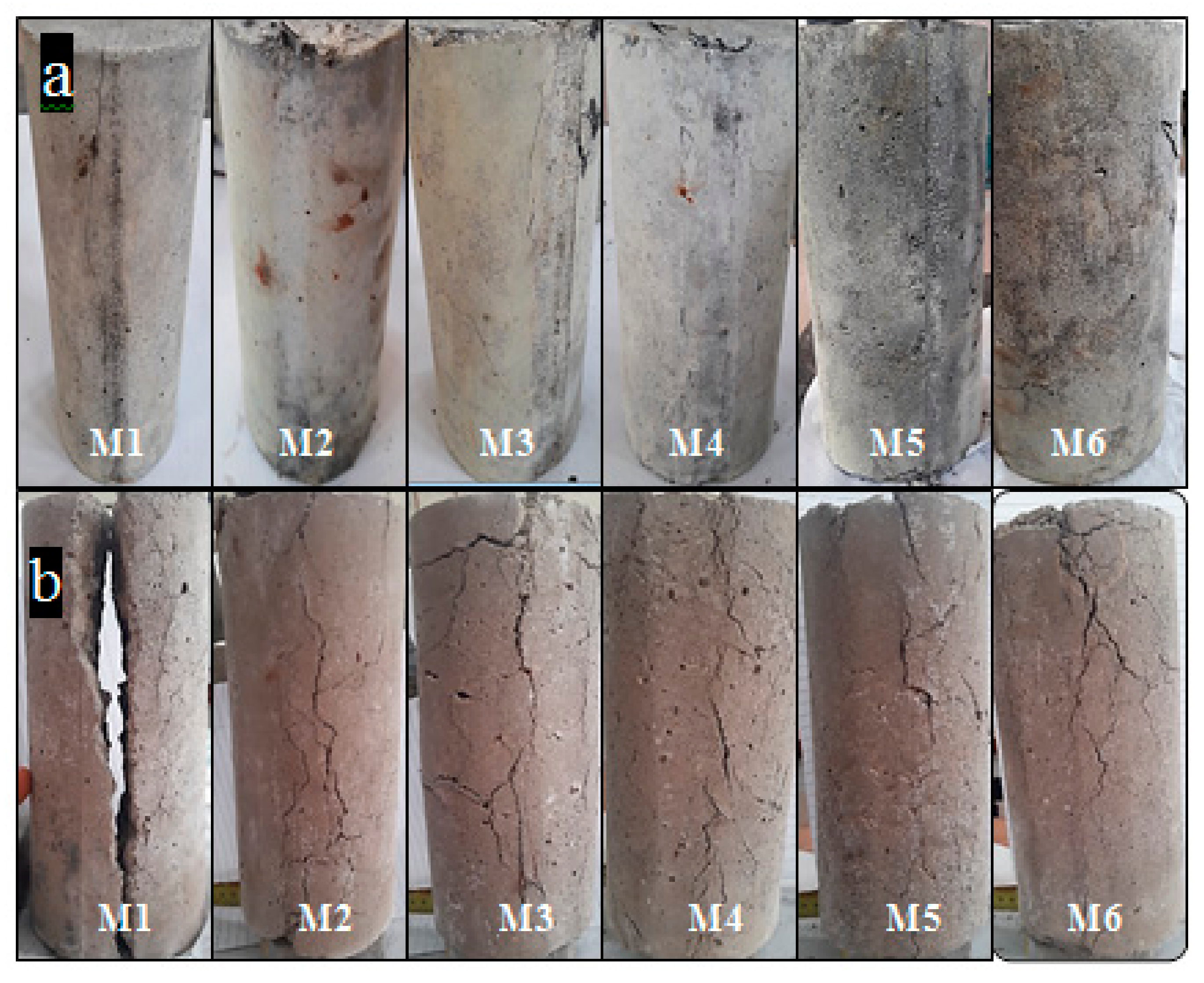 Sustainability 13 13392 g014 Sustainability 13 13392 g014