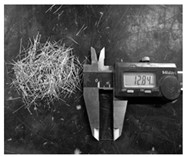 Sustainability 13 13410 i001