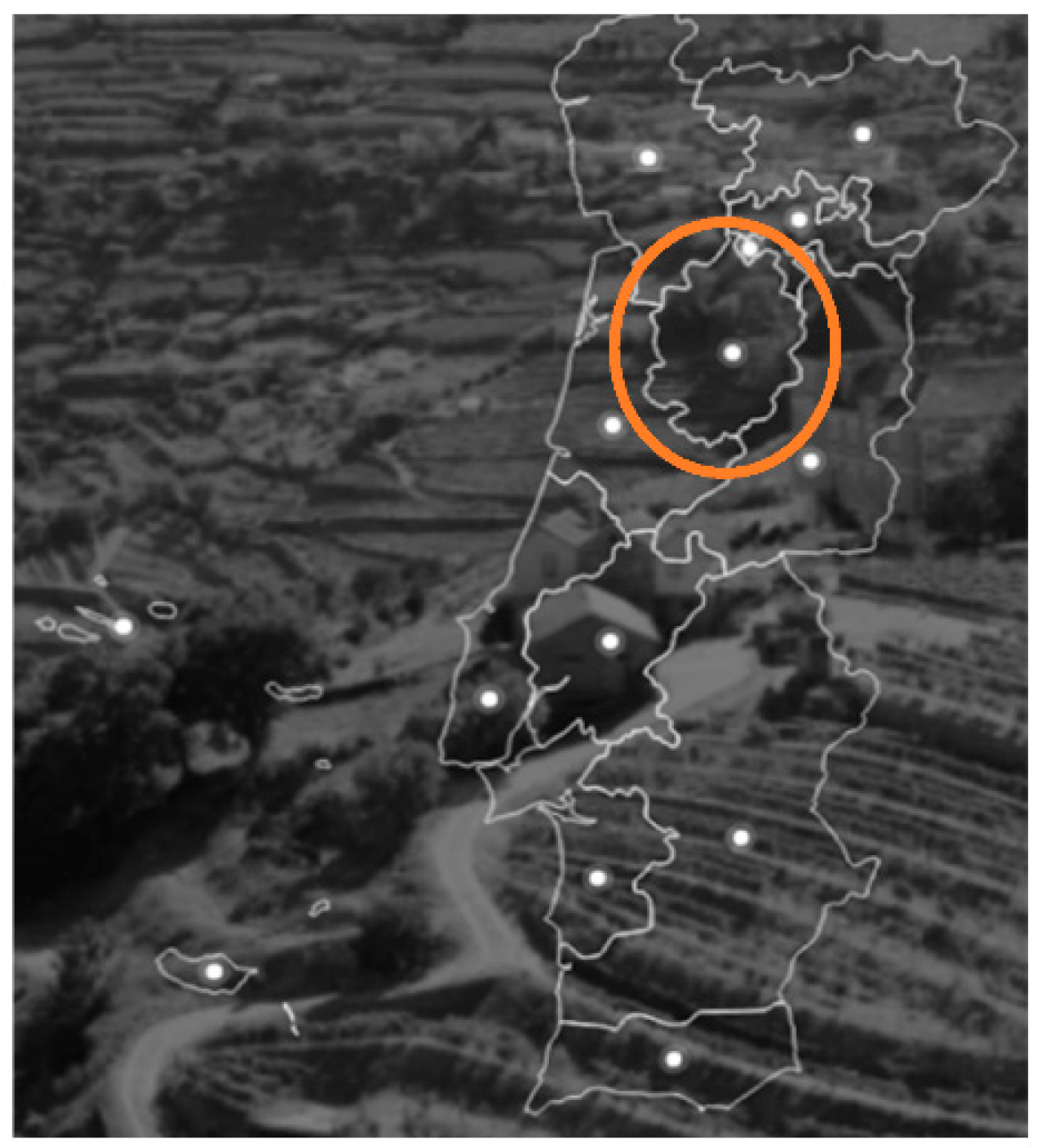 Sustainability 13 13416 g001 550