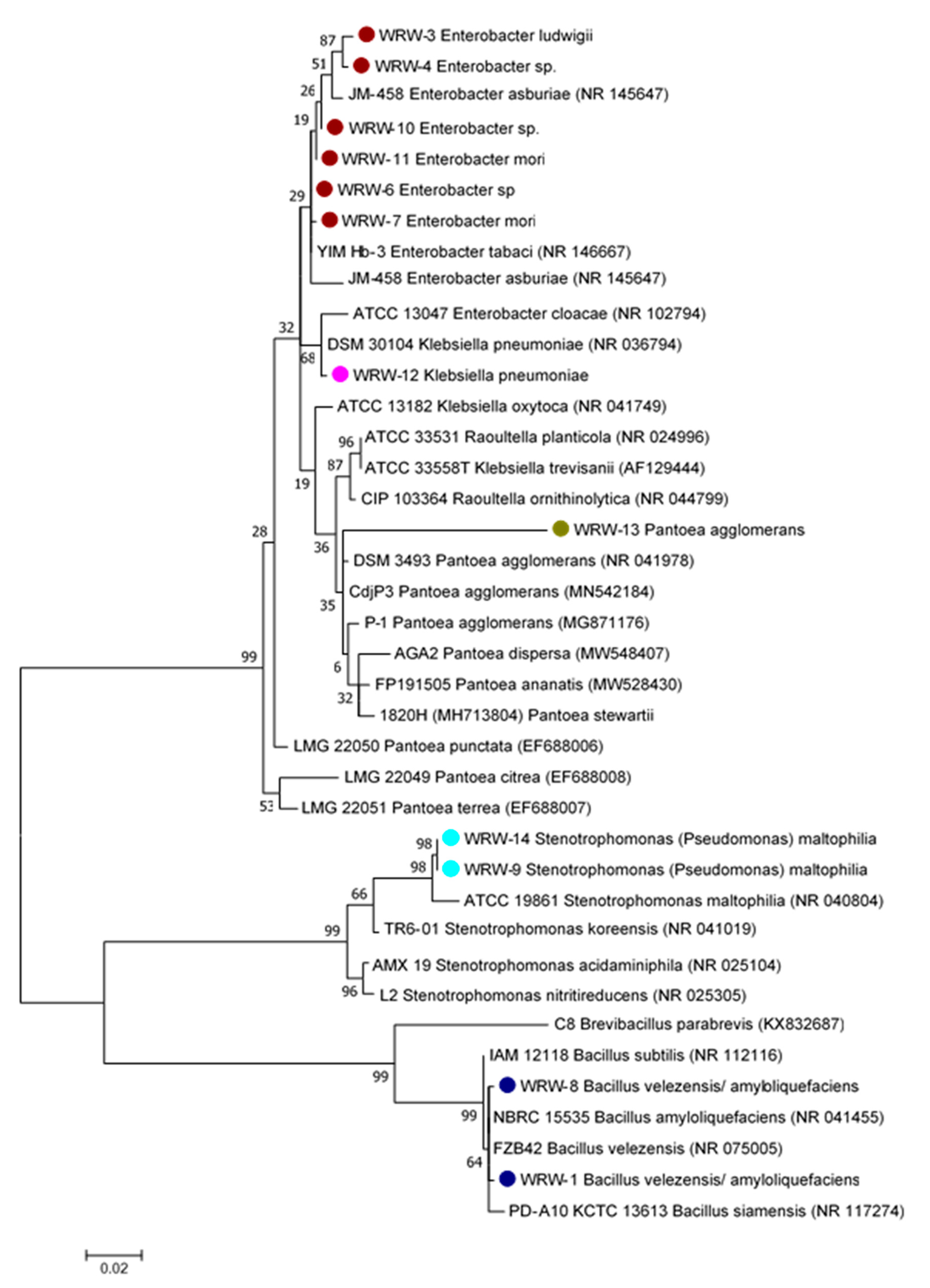Sustainability 13 13437 g005