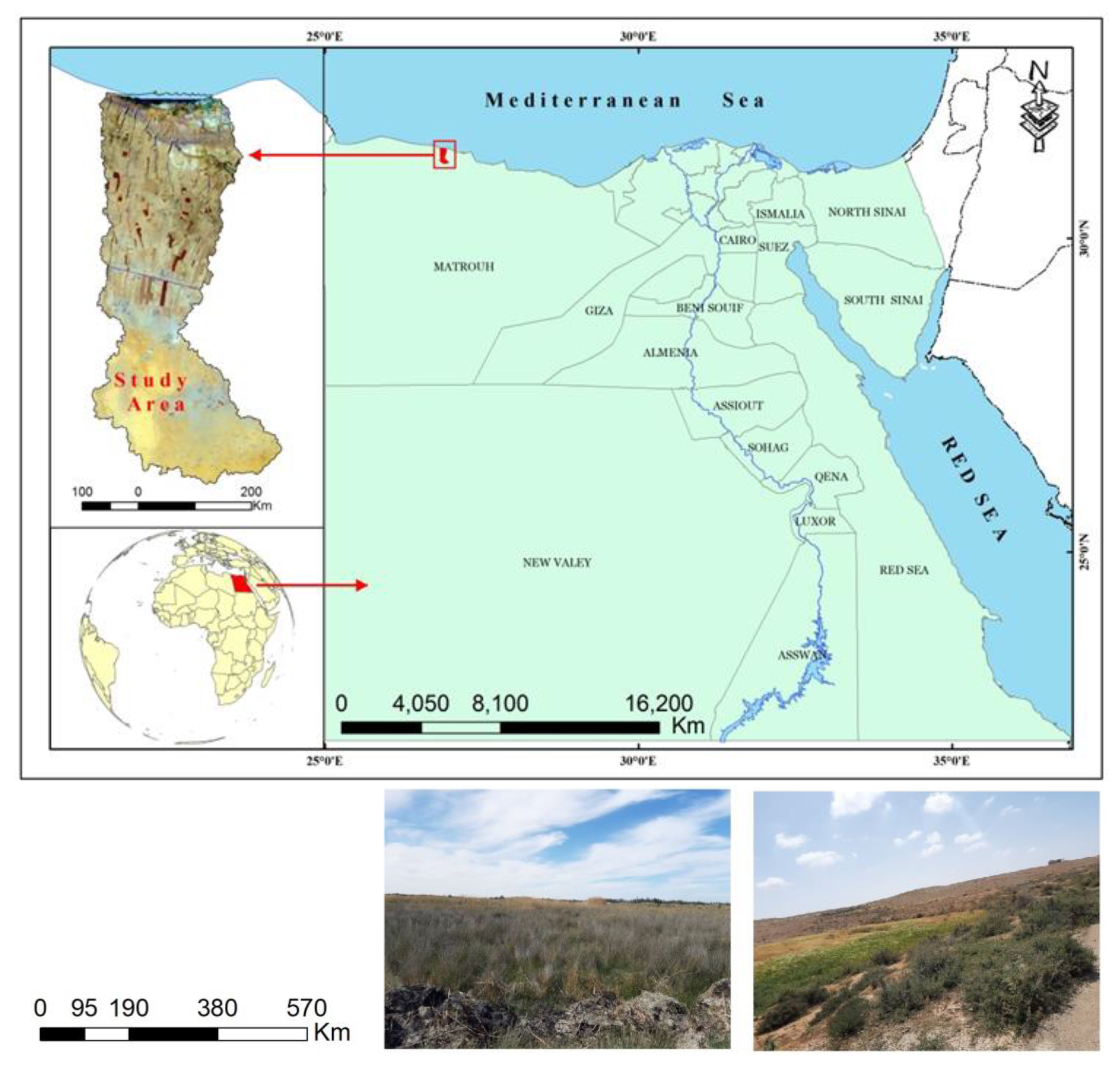 Sustainability 13 13438 g001