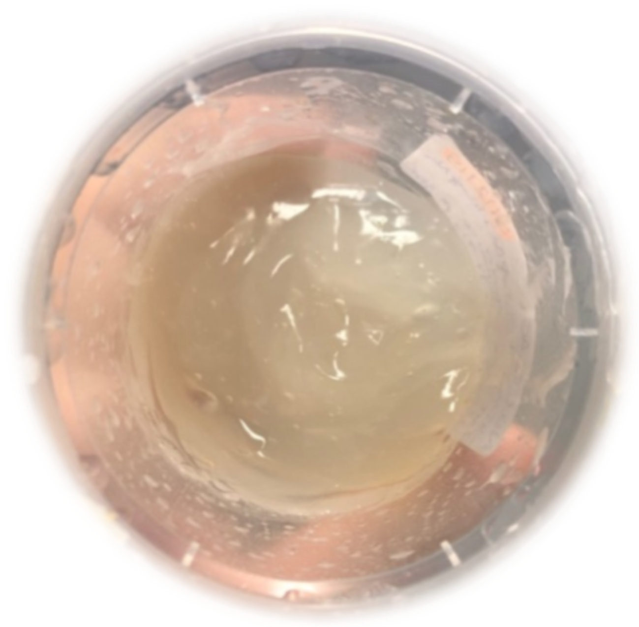 Sustainability 13 13443 g001