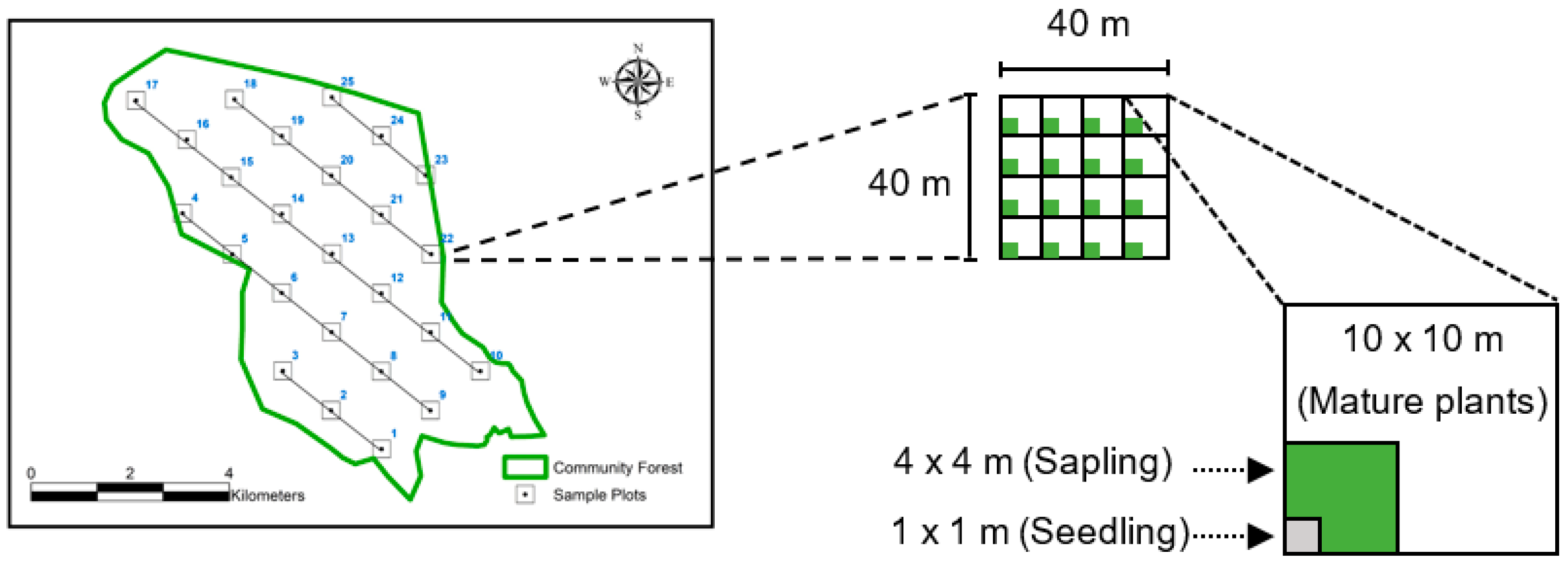Sustainability 13 13474 g003