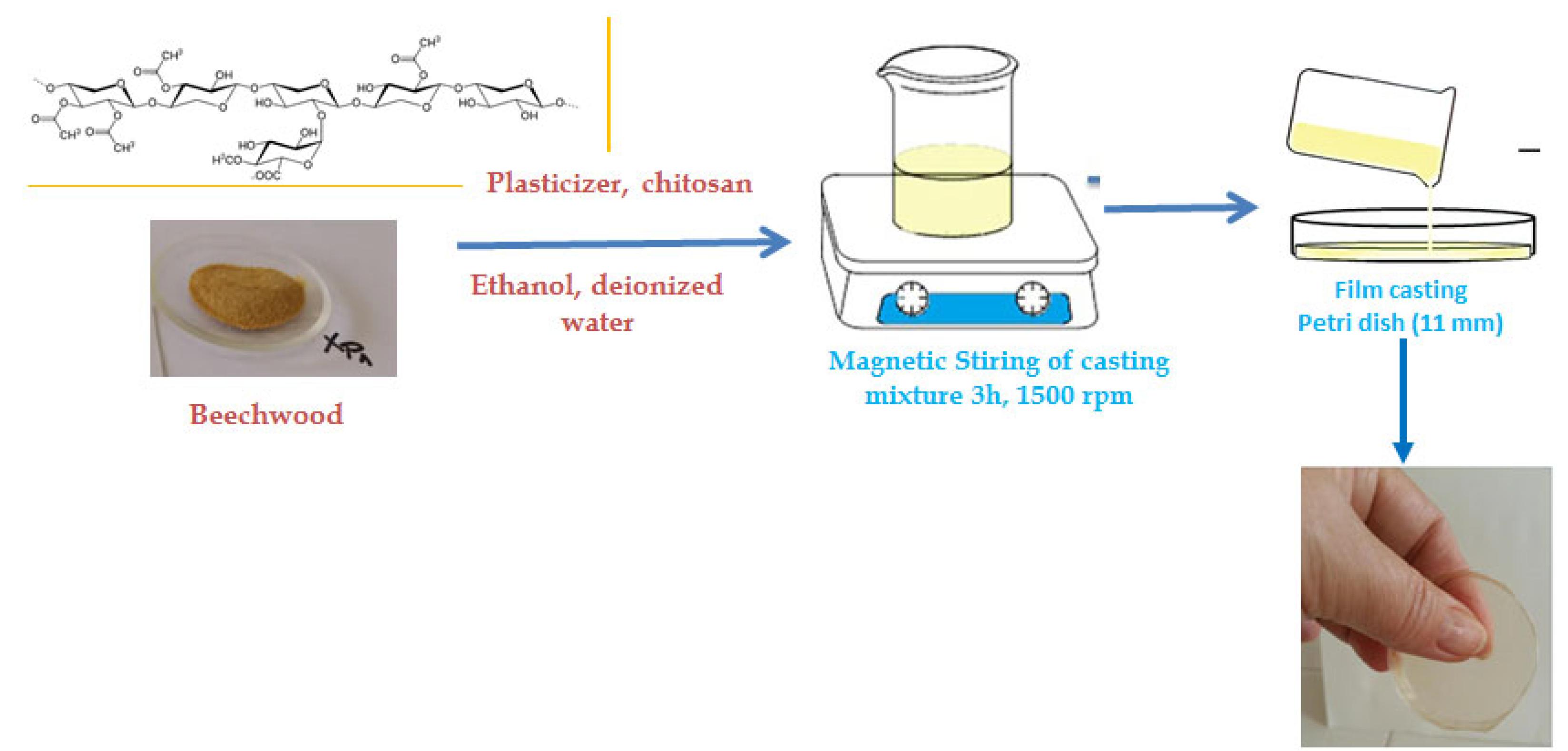 Sustainability 13 13504 g002