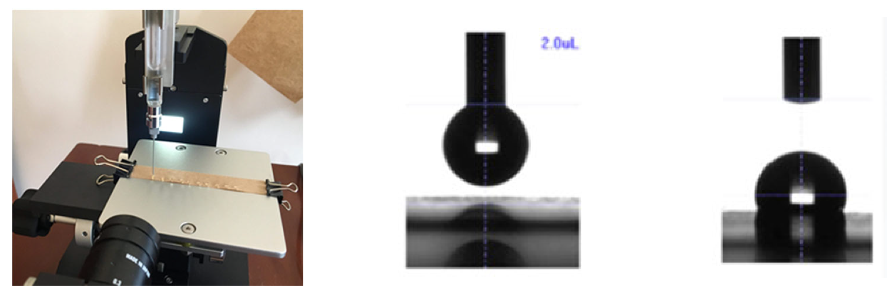 Sustainability 13 13504 g003