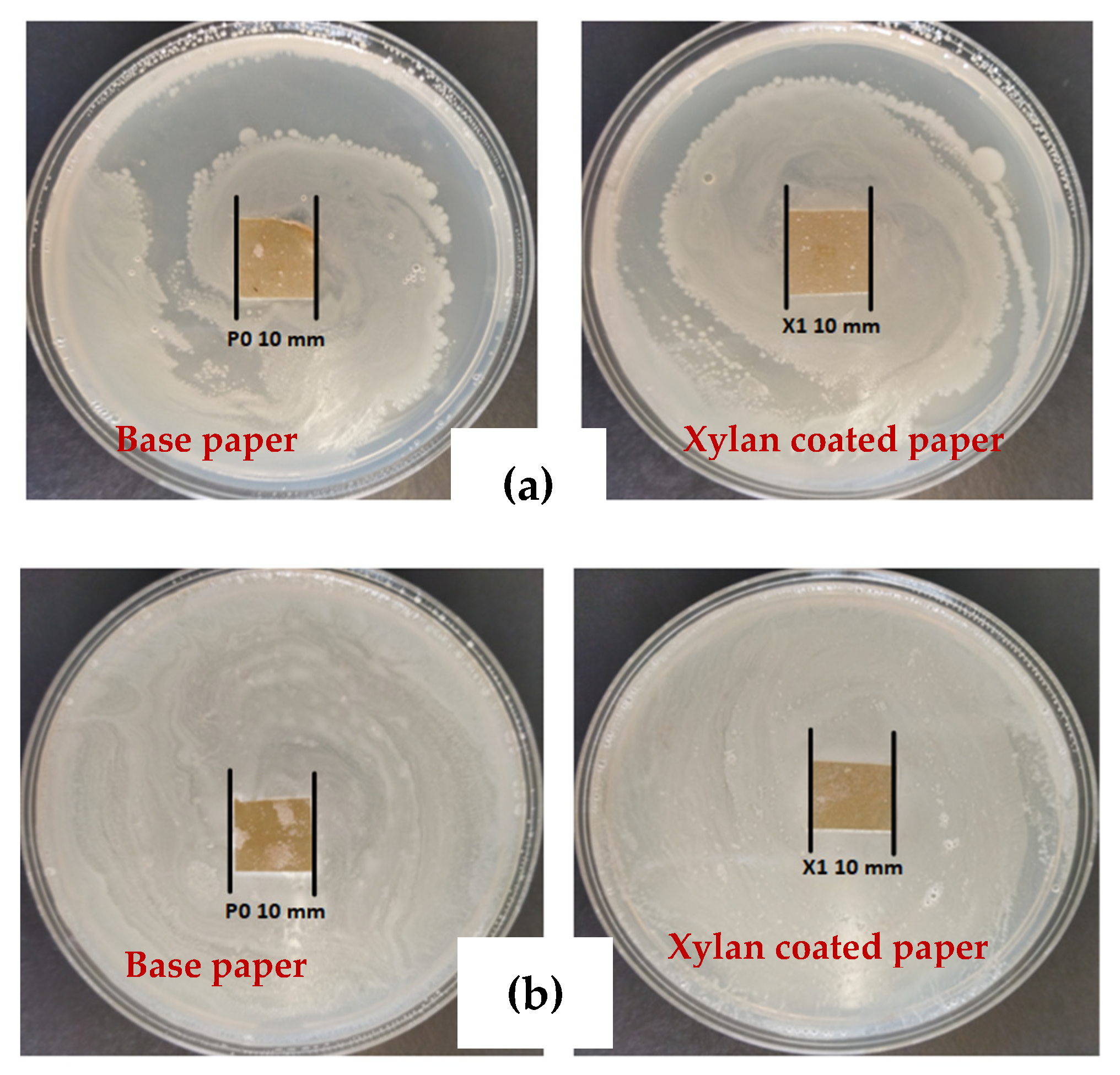 Sustainability 13 13504 g010