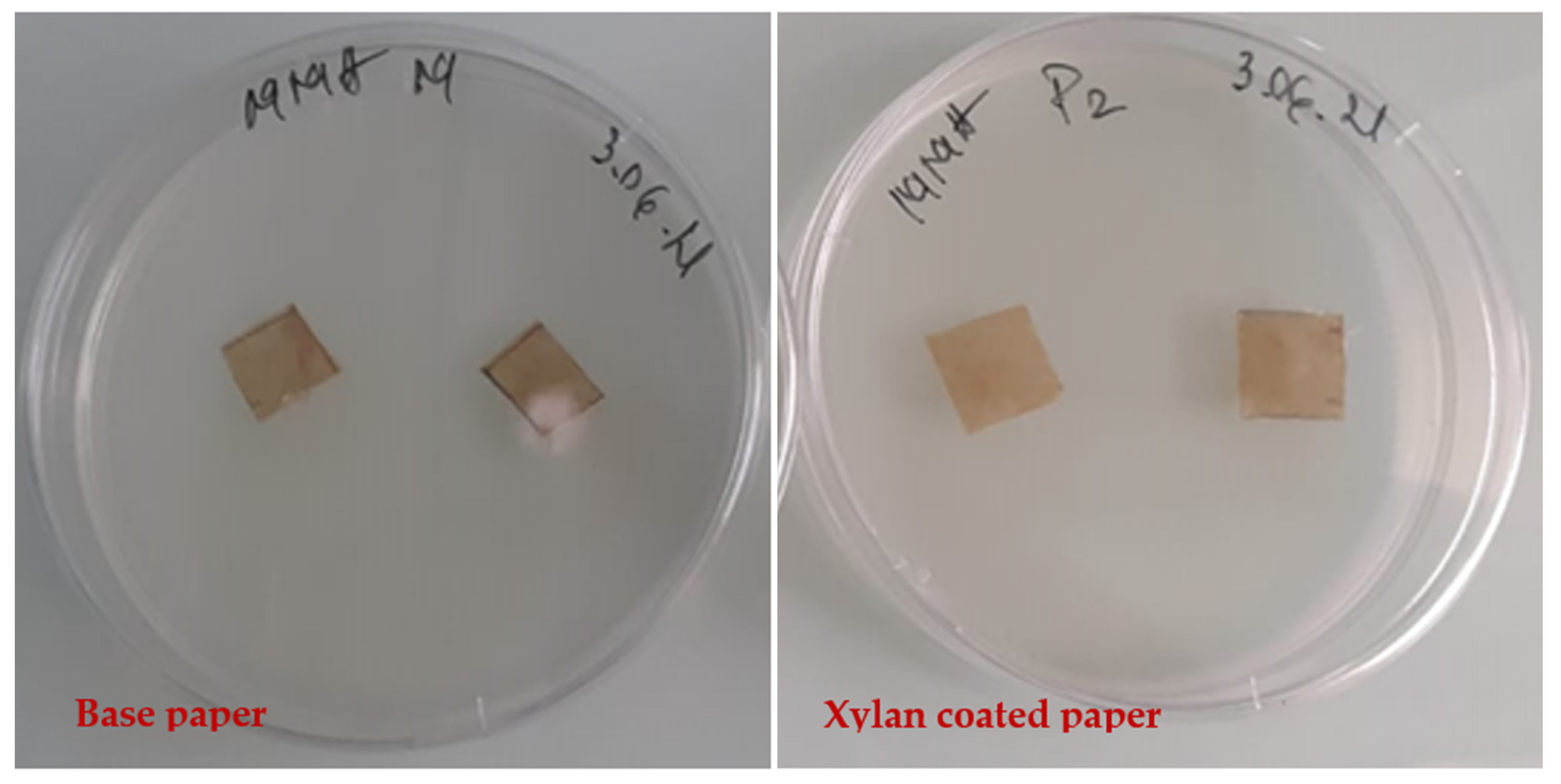 Sustainability 13 13504 g011