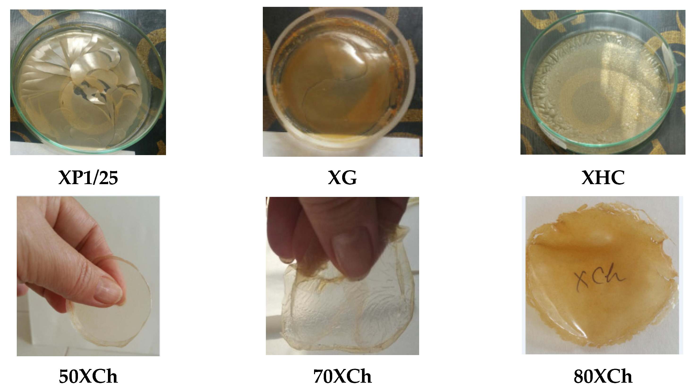 Sustainability 13 13504 g012