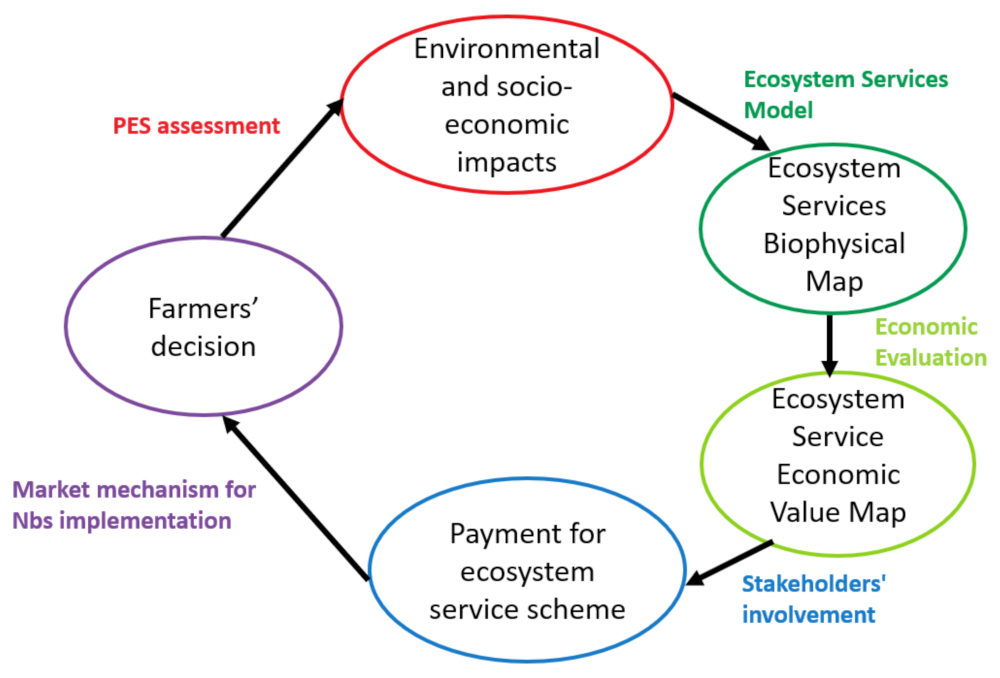Sustainability 13 13549 g002 550