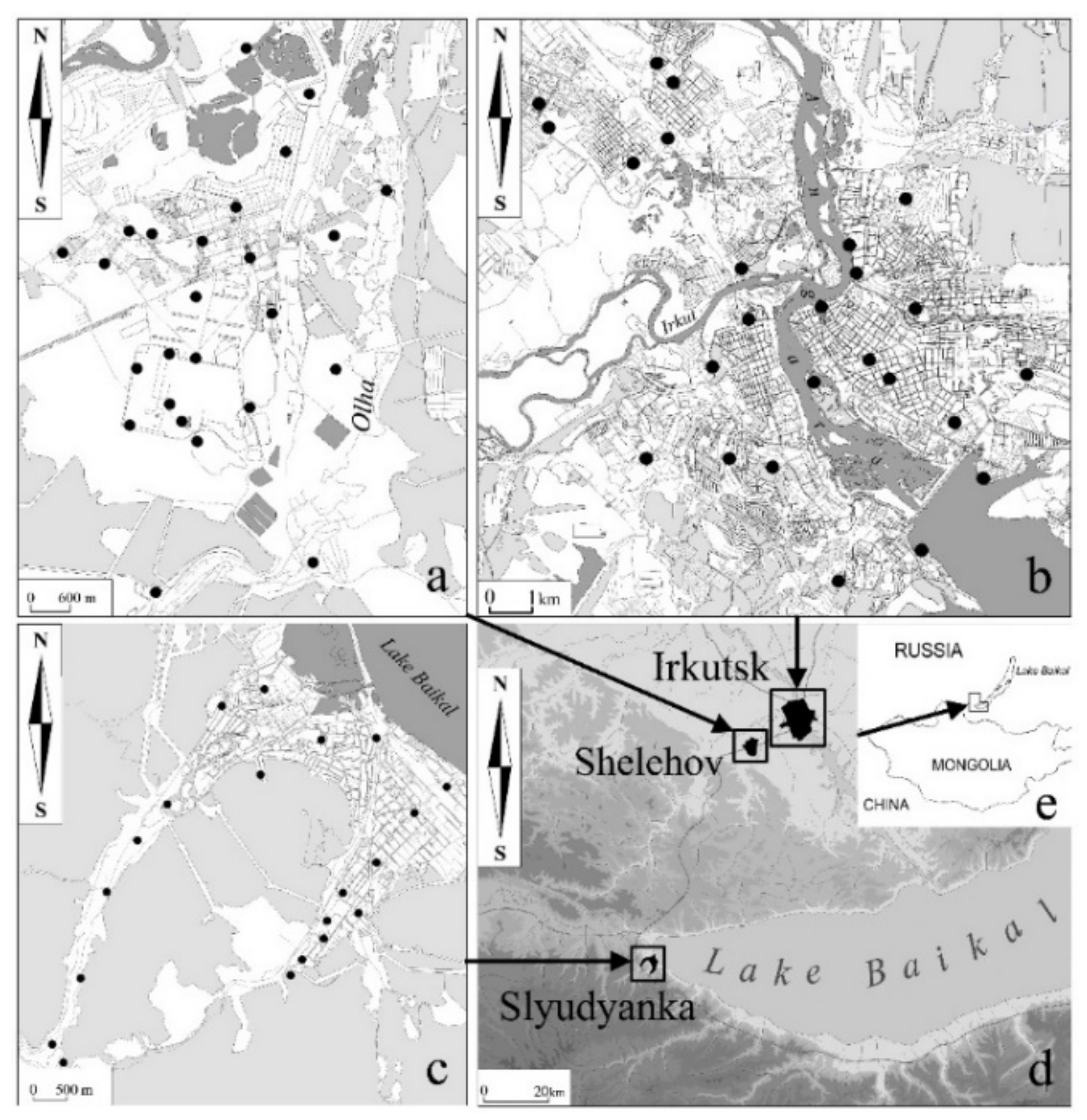 Sustainability 13 13584 g001