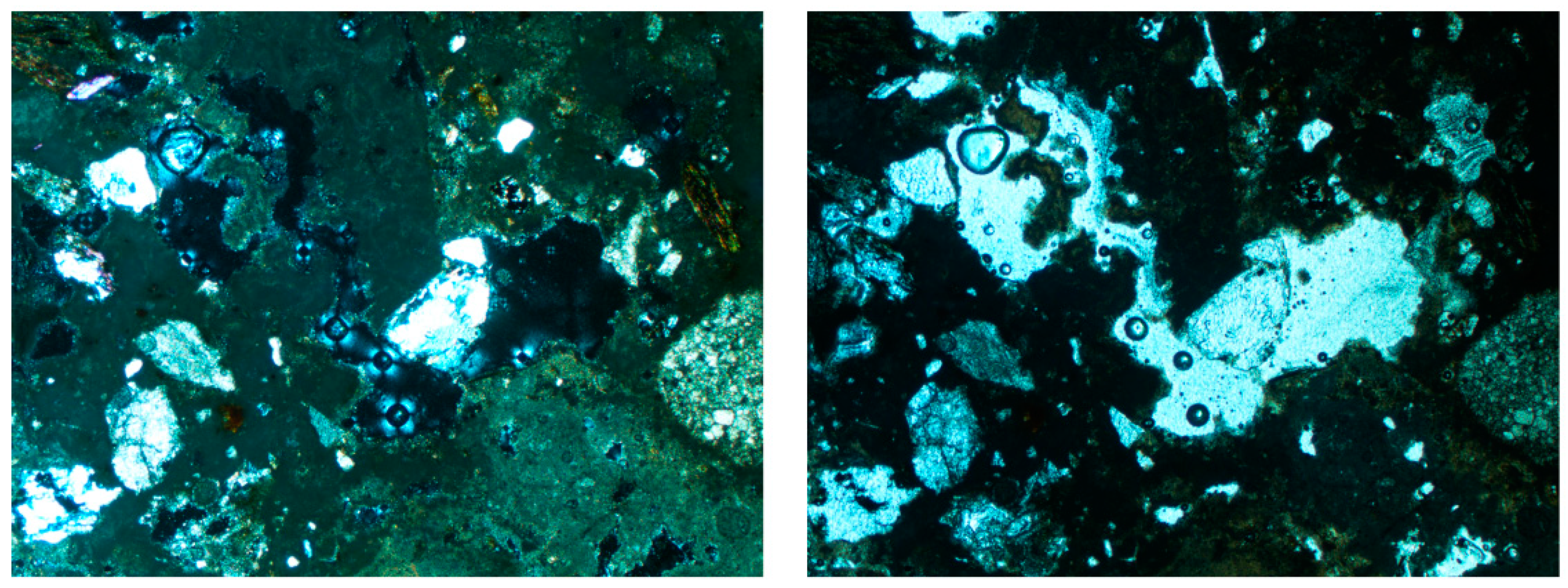 Sustainability 13 13597 g010 Sustainability 13 13597 g010