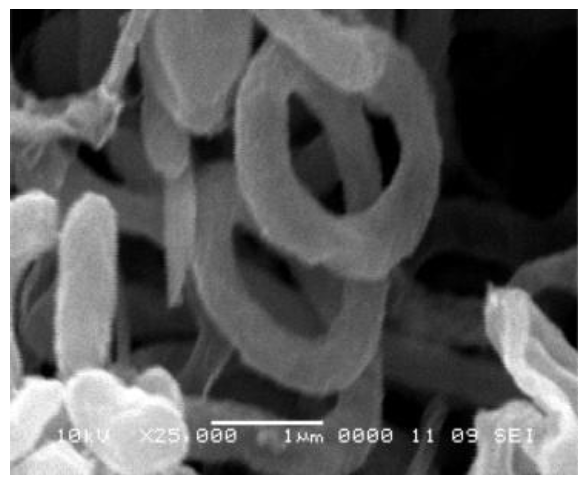 Sustainability 13 13640 g001 Sustainability 13 13640 g001