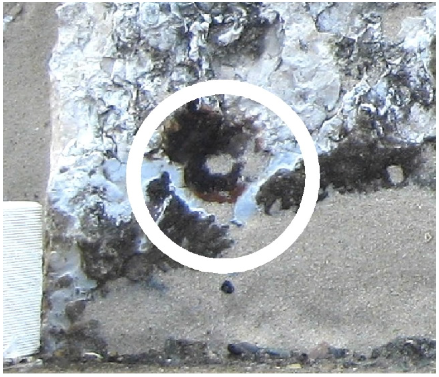 Sustainability 13 13695 g004 550