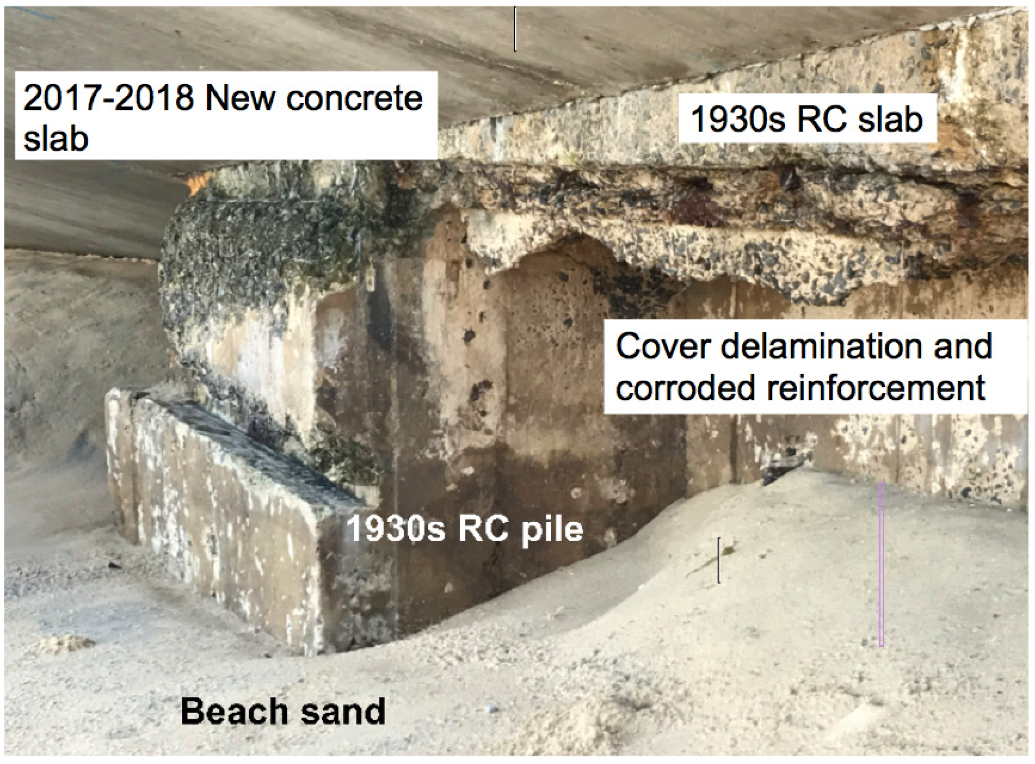 Sustainability 13 13695 g005 550