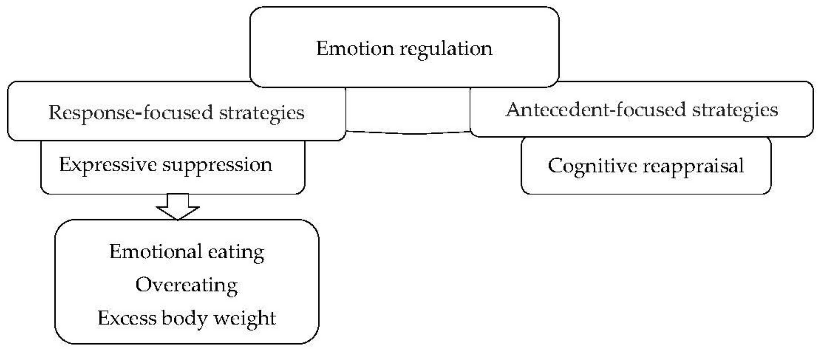 Sustainability 13 13704 g003