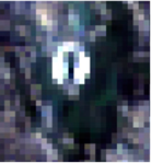 Sustainability 13 13706 i011