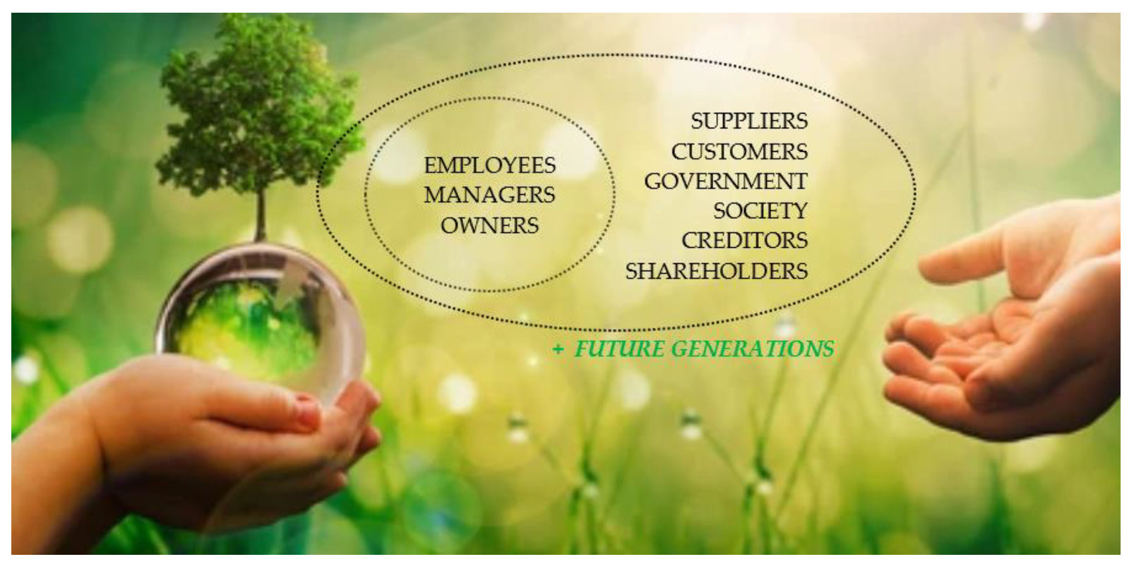 Sustainability 13 13717 g004