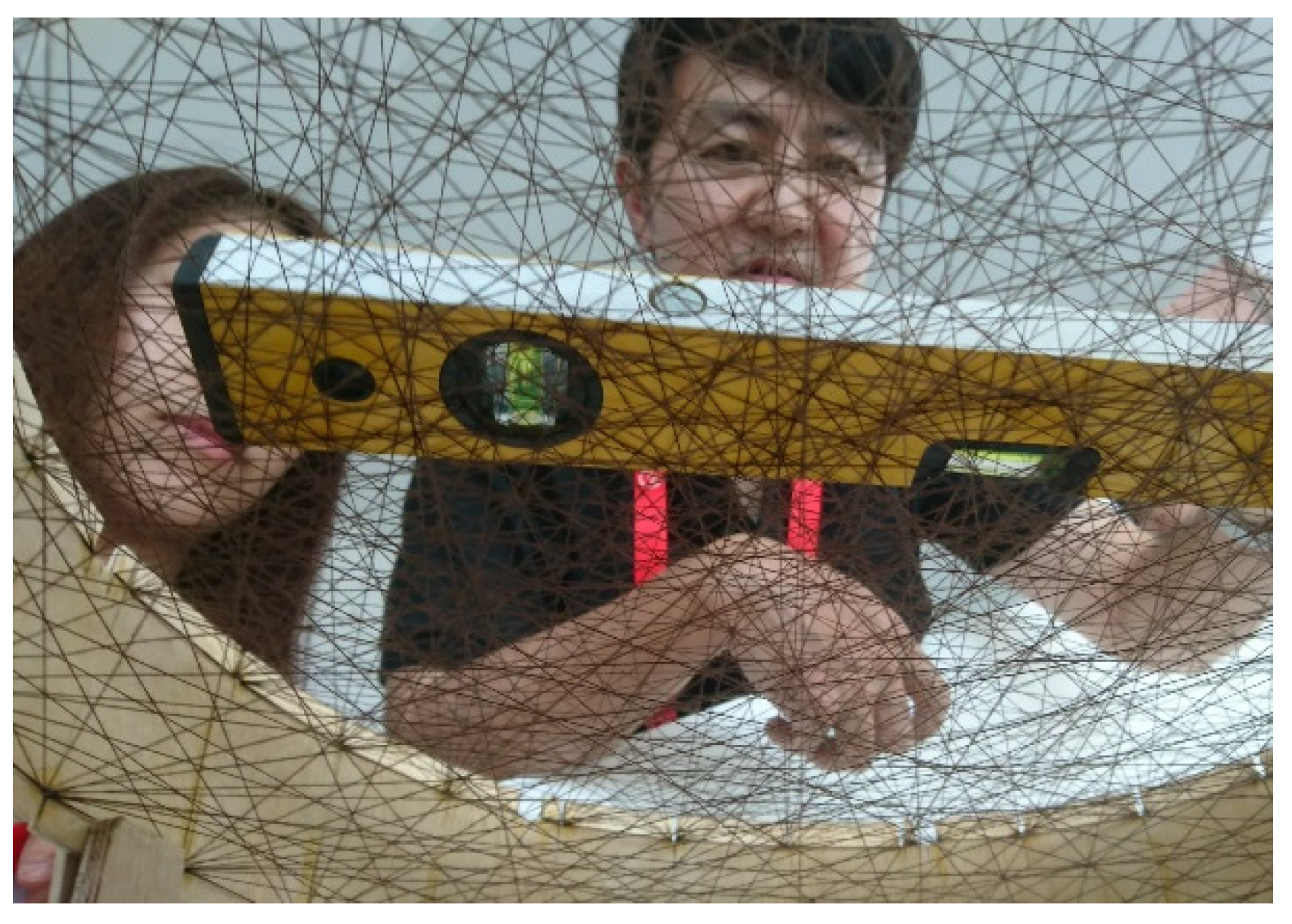 Sustainability 13 13731 g014