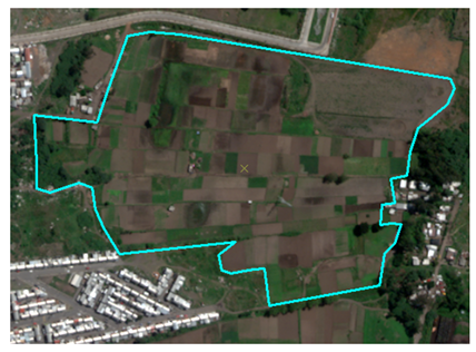 Sustainability 13 13745 i011