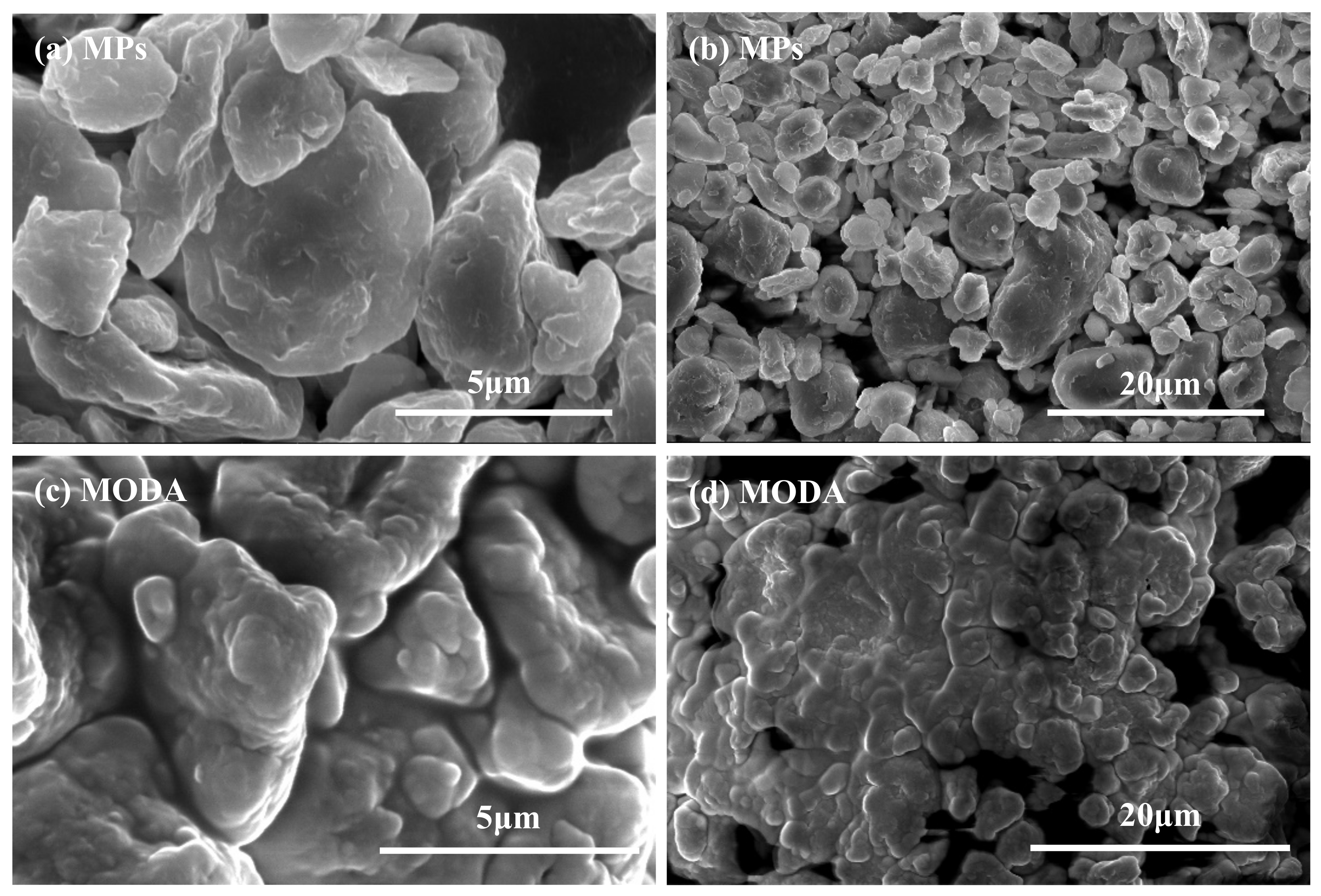 Sustainability 13 13752 g002 550