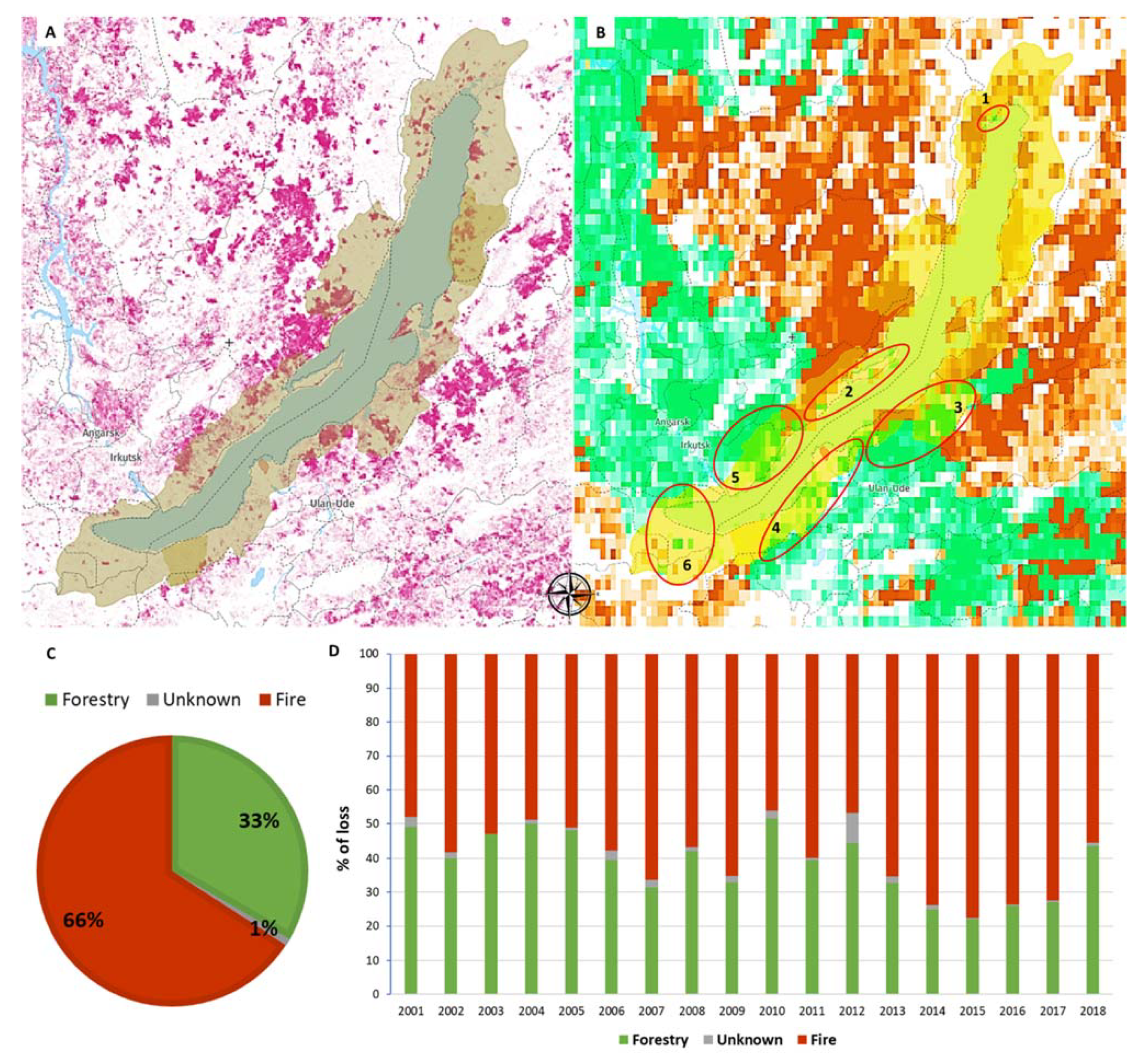 Sustainability 13 13774 g001