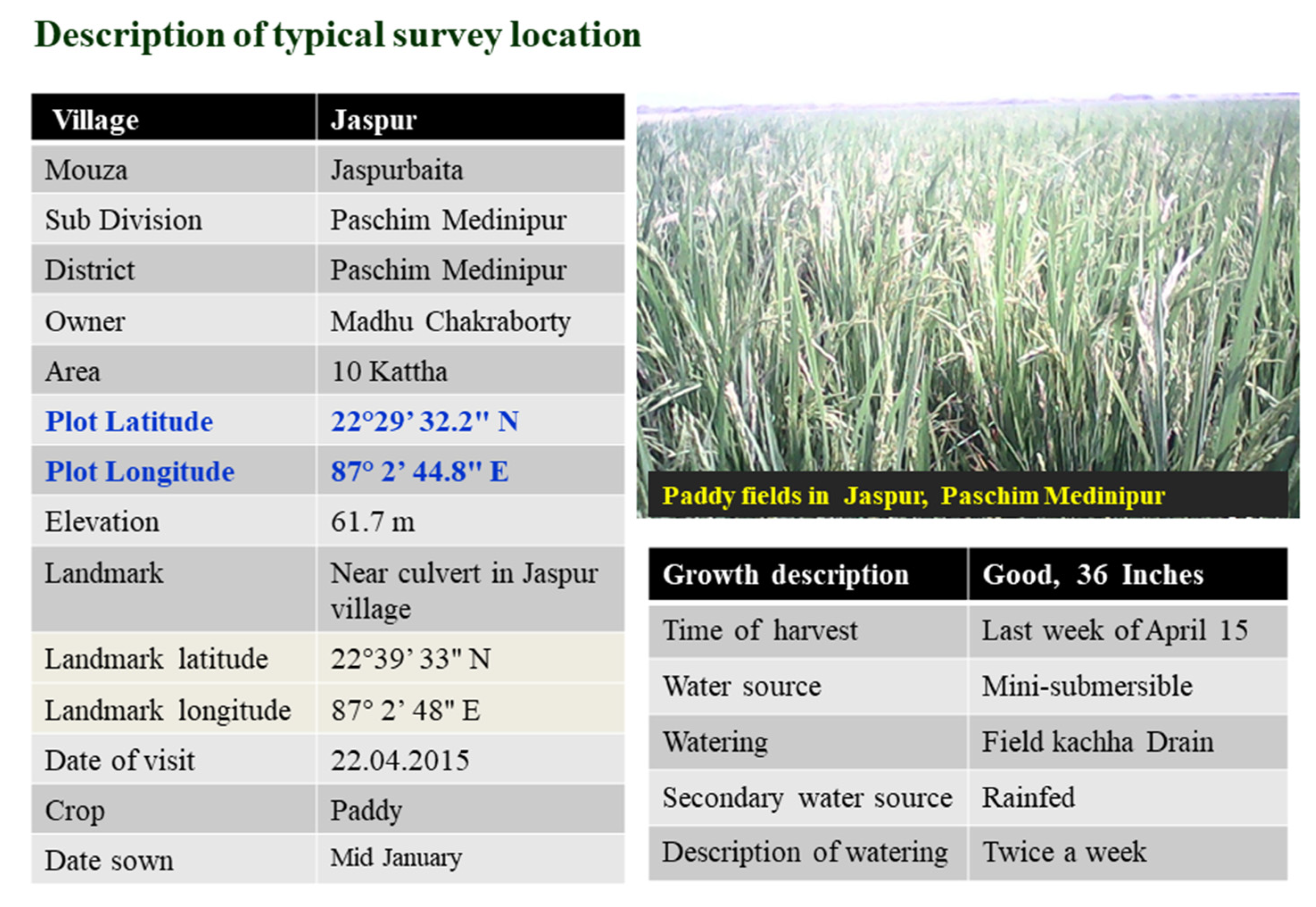 Sustainability 13 13786 g002 550