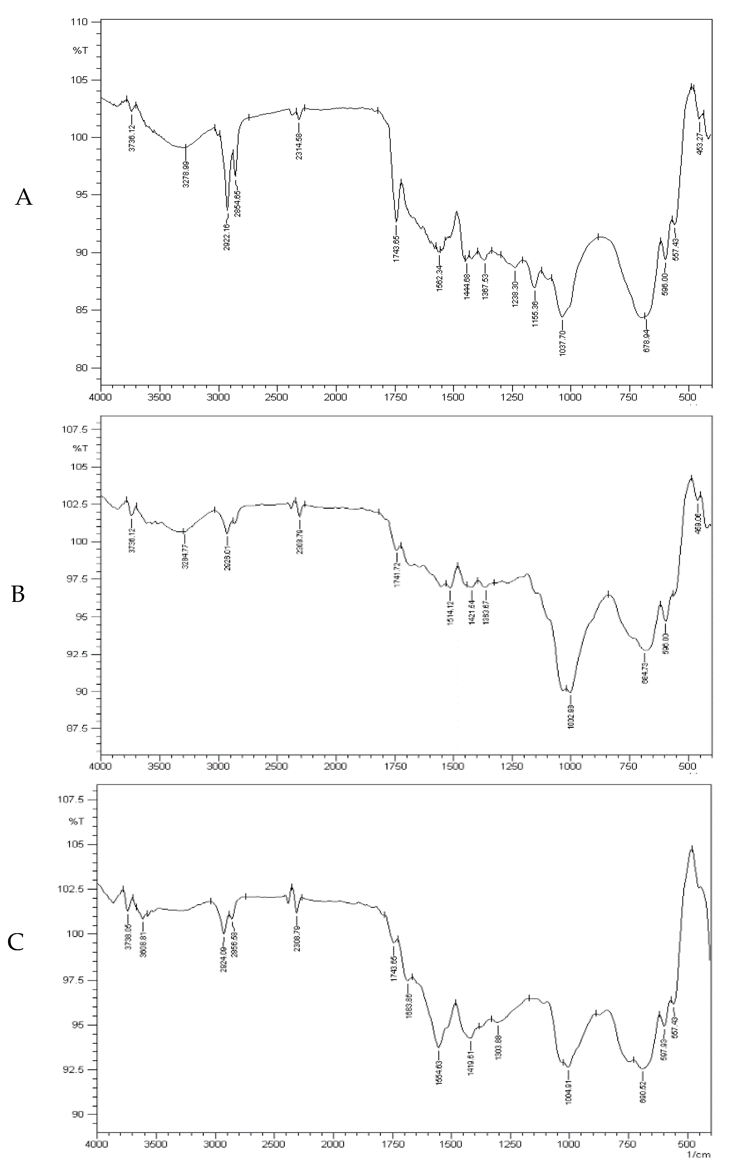 Sustainability 13 13796 g003