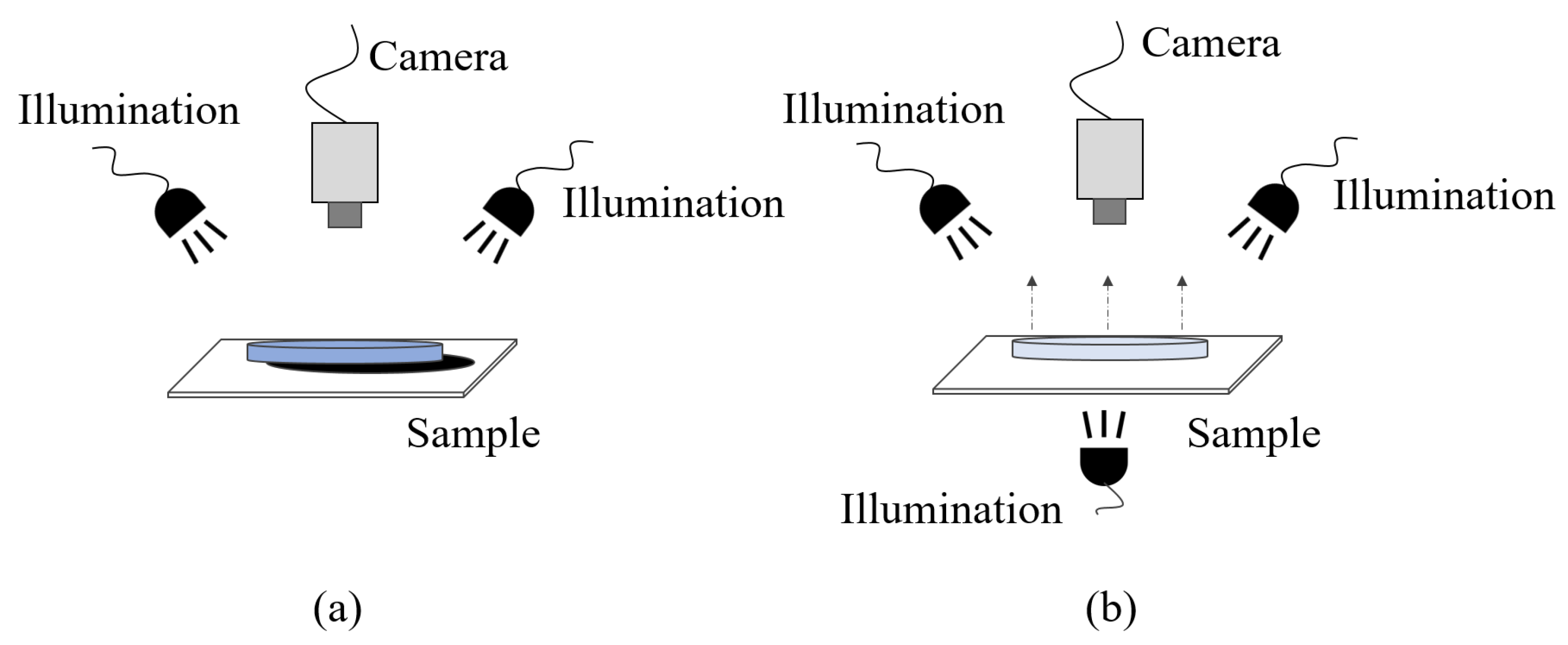 Sustainability 13 13834 g005 550