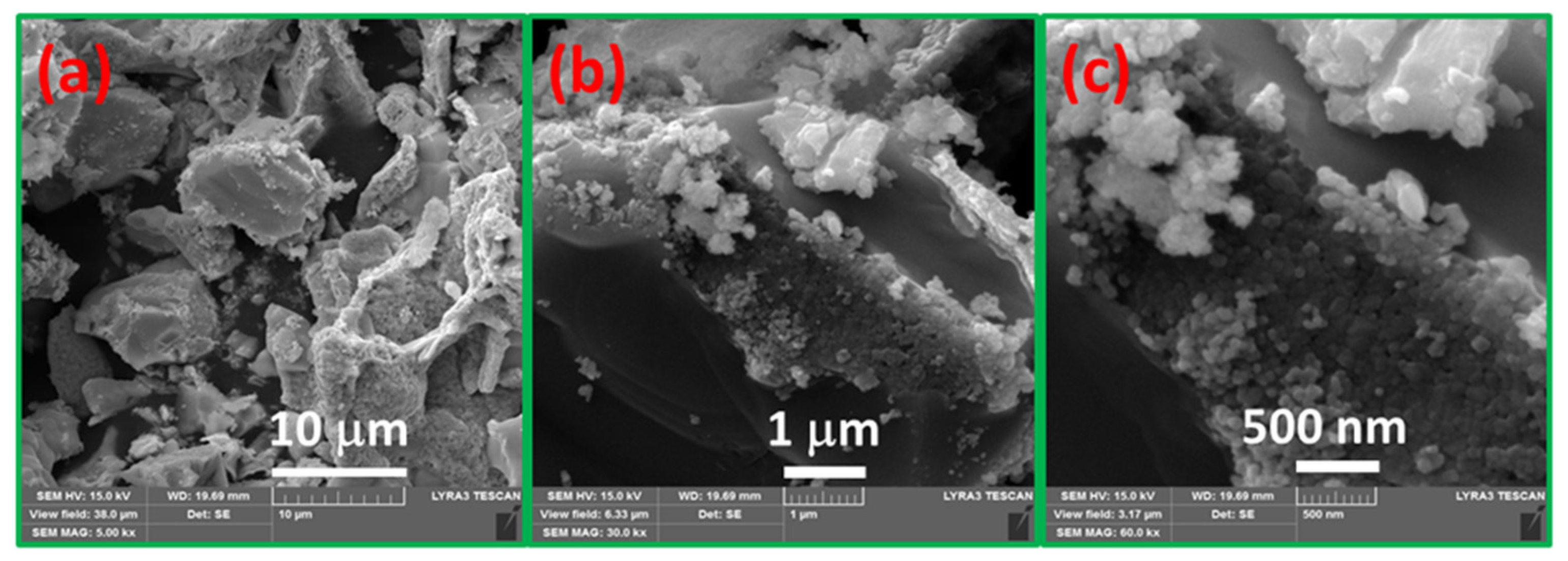 Sustainability 13 13855 g005