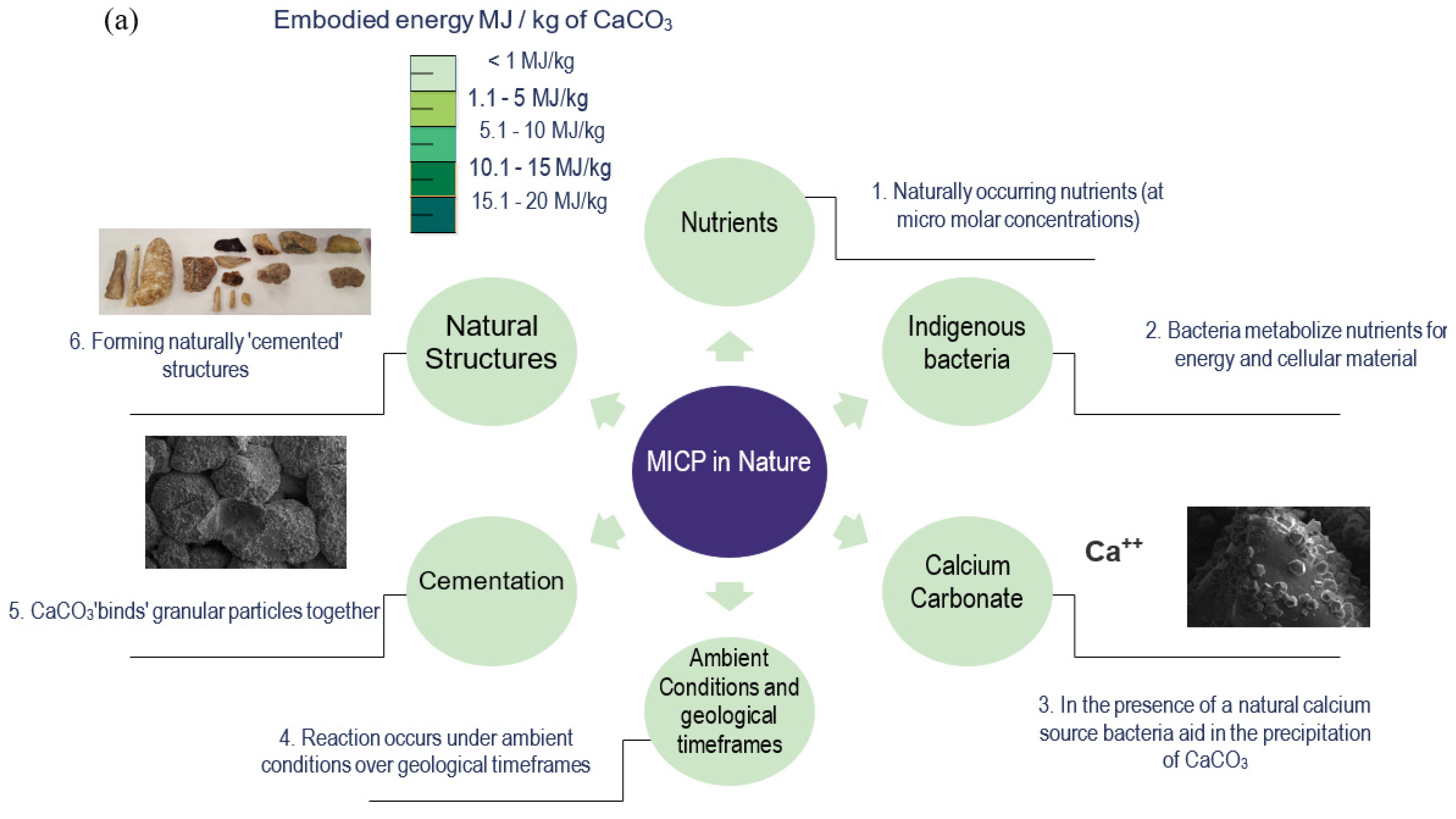 Sustainability 13 13878 g001a