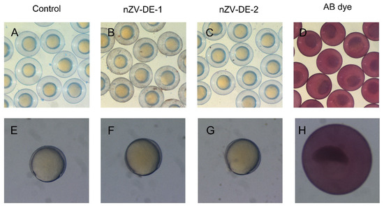 szn Using Nano Zero-Valent Iron Supported on Diatomite to Remove