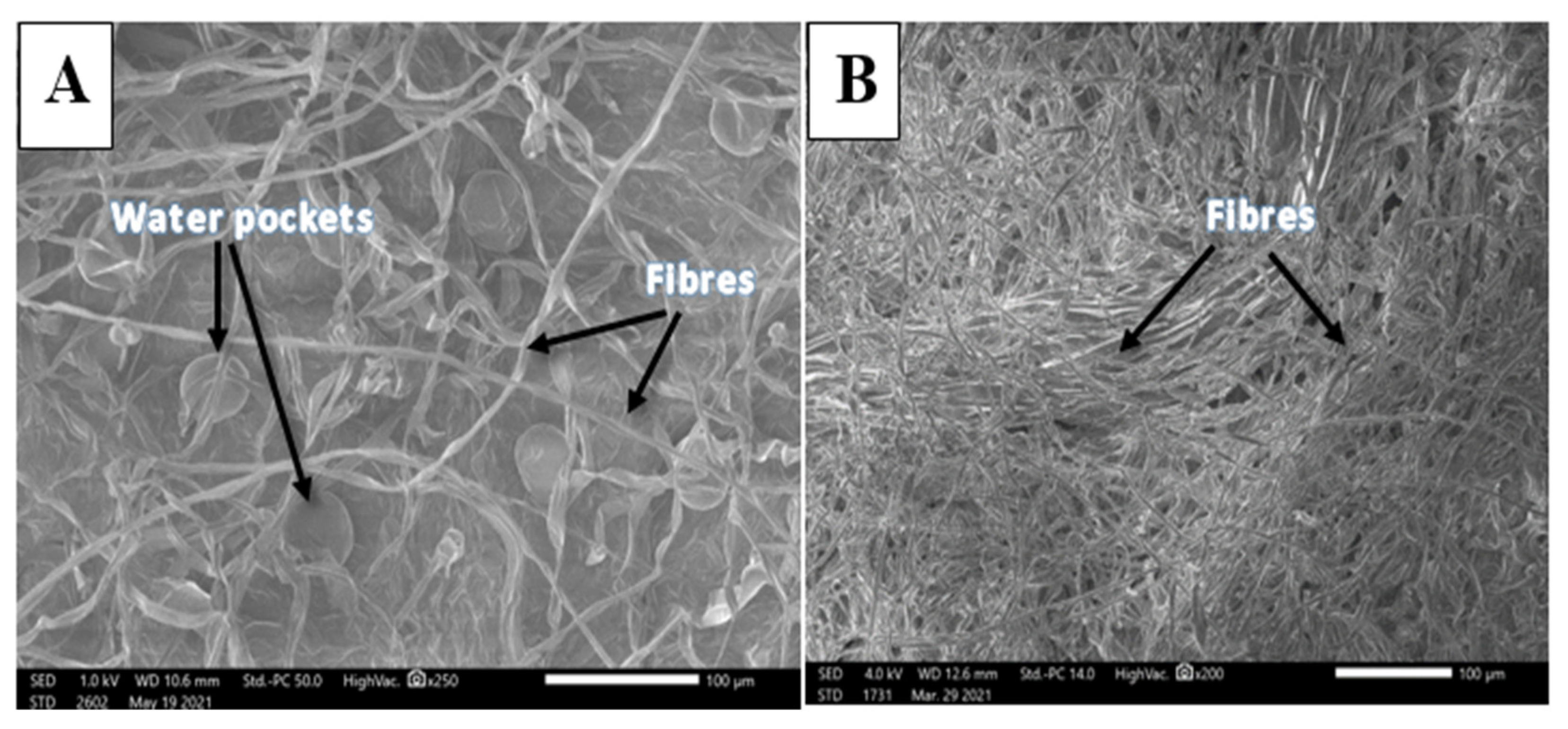 Sustainability 13 13905 g004 550
