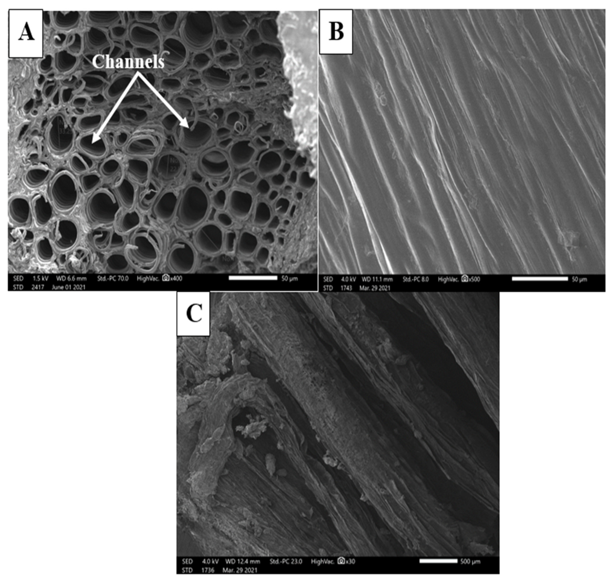 Sustainability 13 13905 g005 550