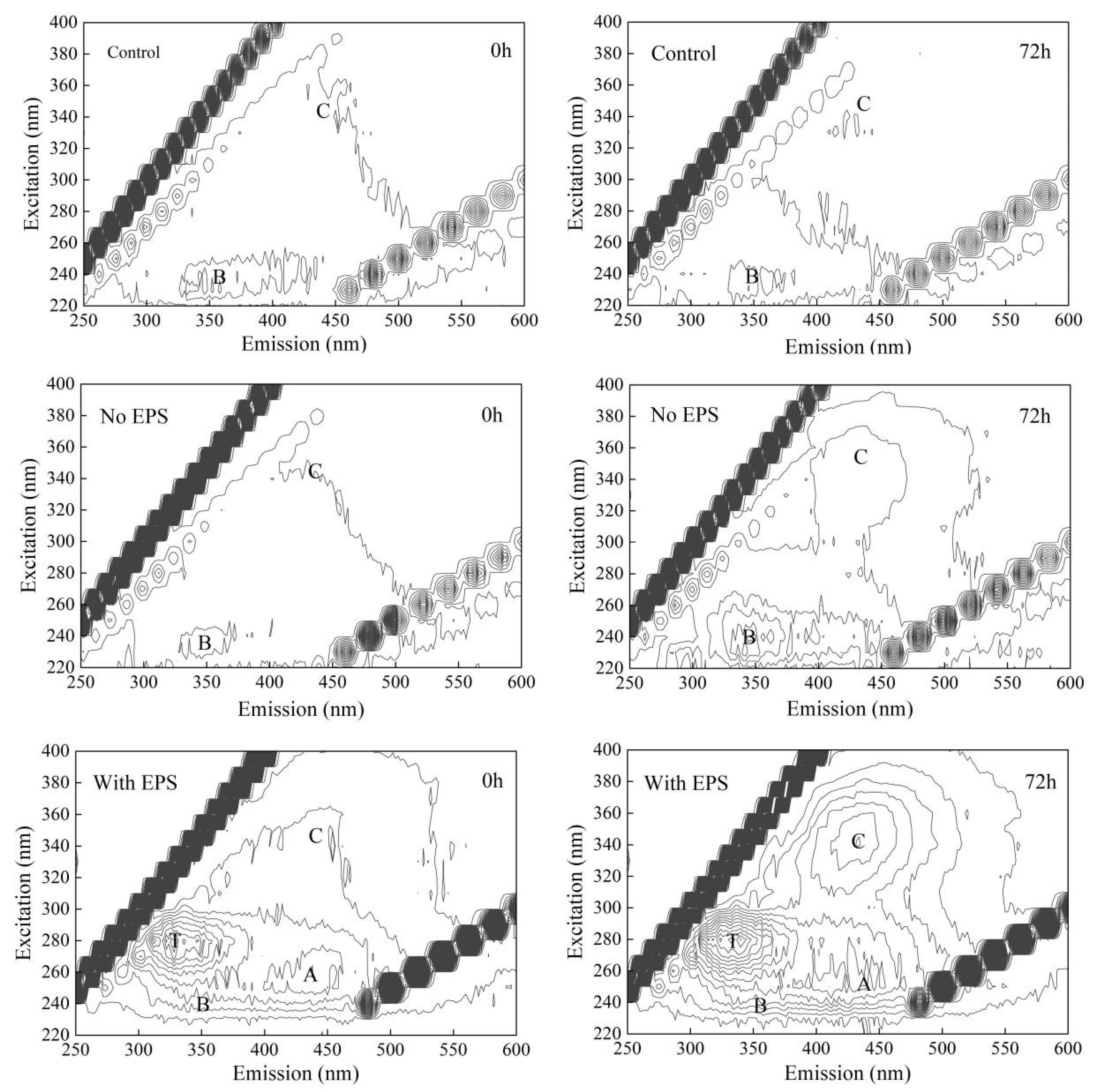 Sustainability 13 13913 g007