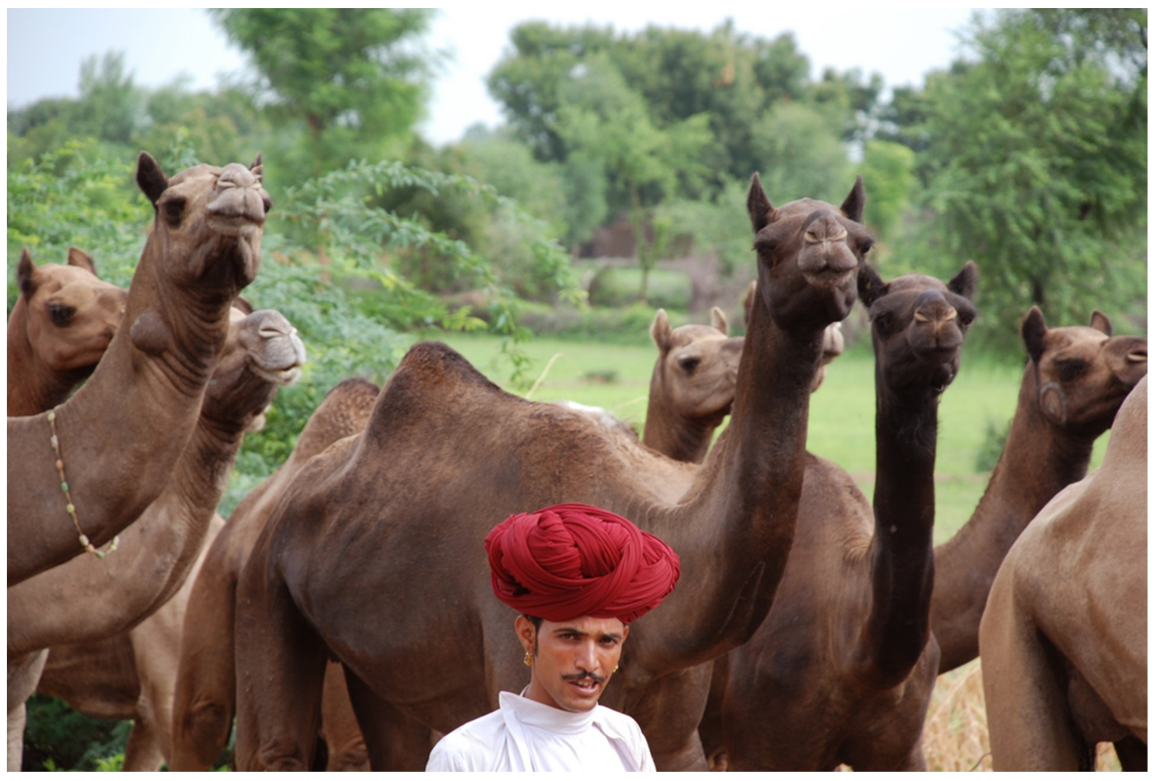 Sustainability 13 13914 g003 550