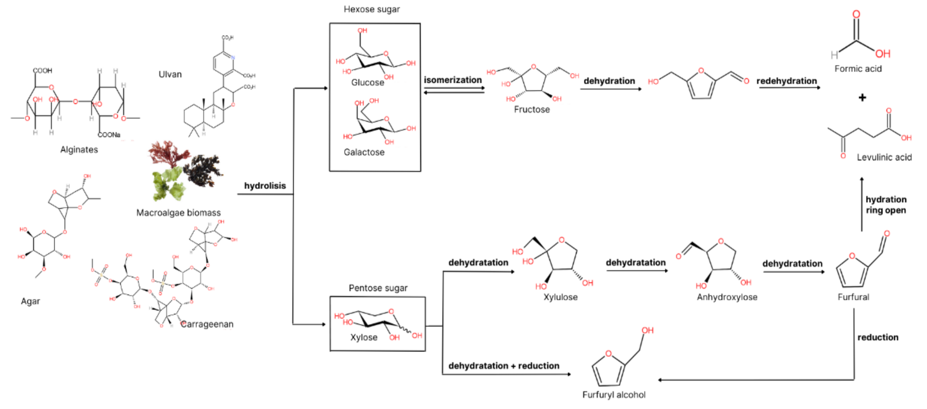 Sustainability 13 13919 g004