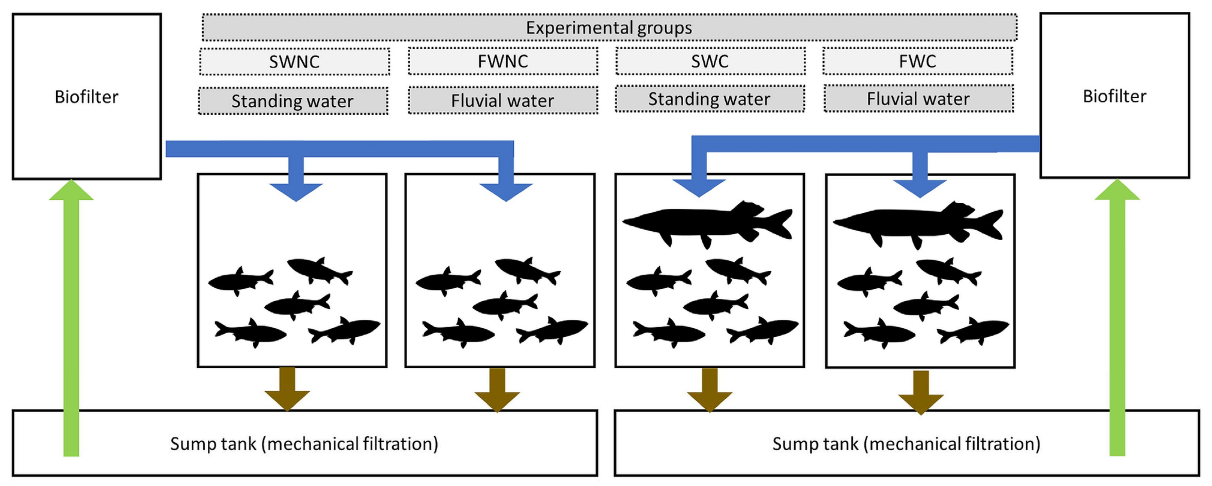 Sustainability 13 13936 g001