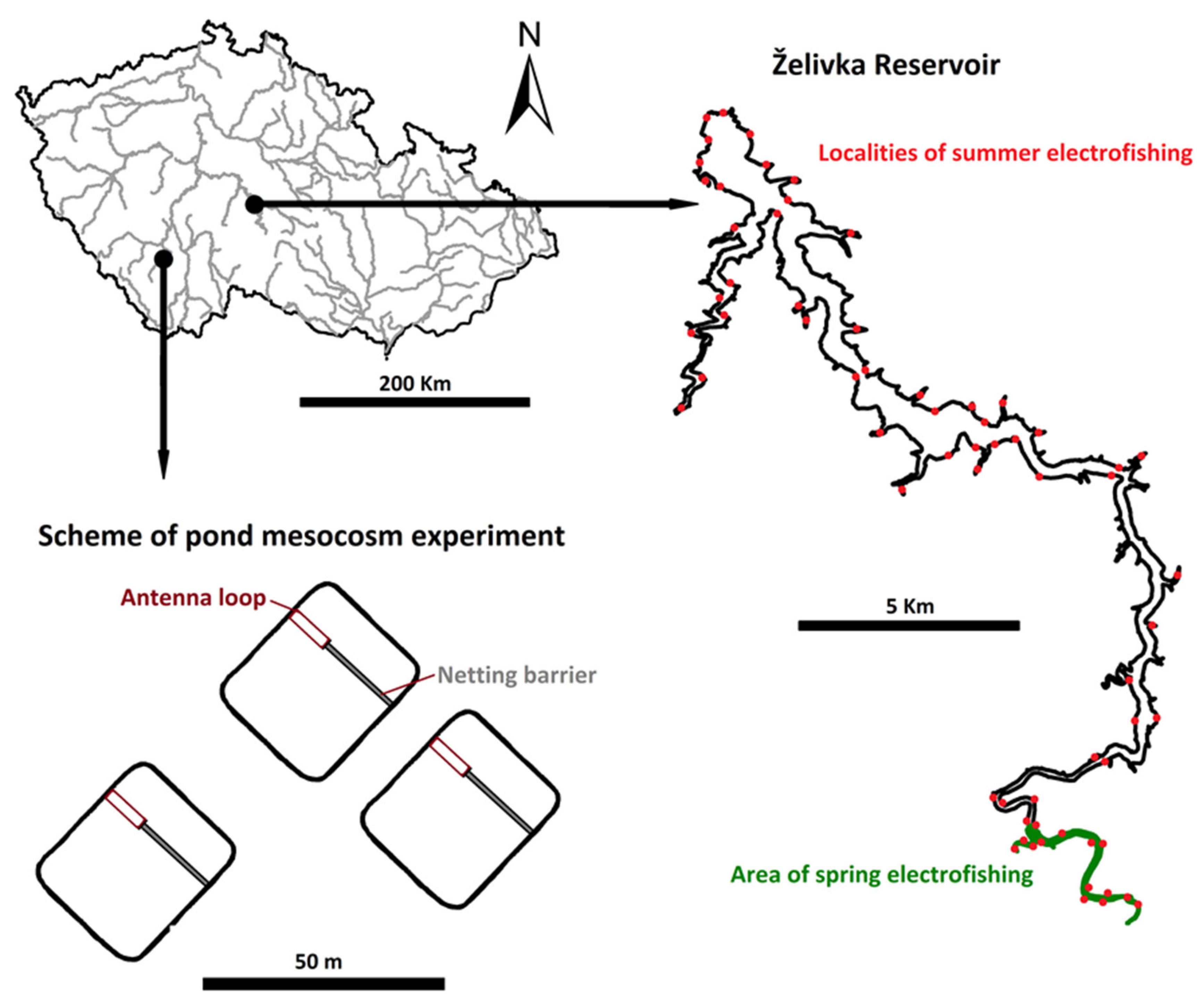 Sustainability 13 13936 g002