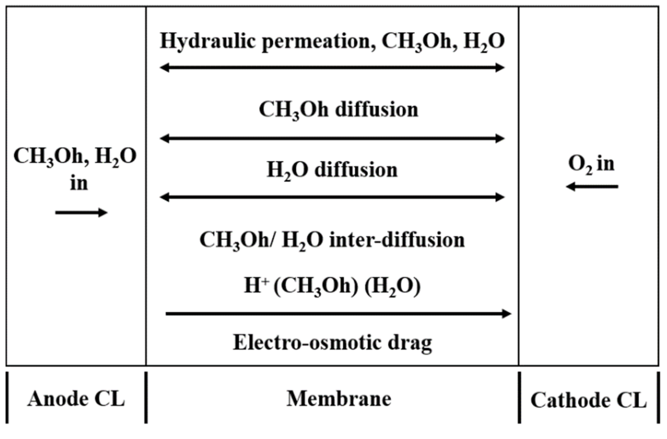 Sustainability 13 13938 g004