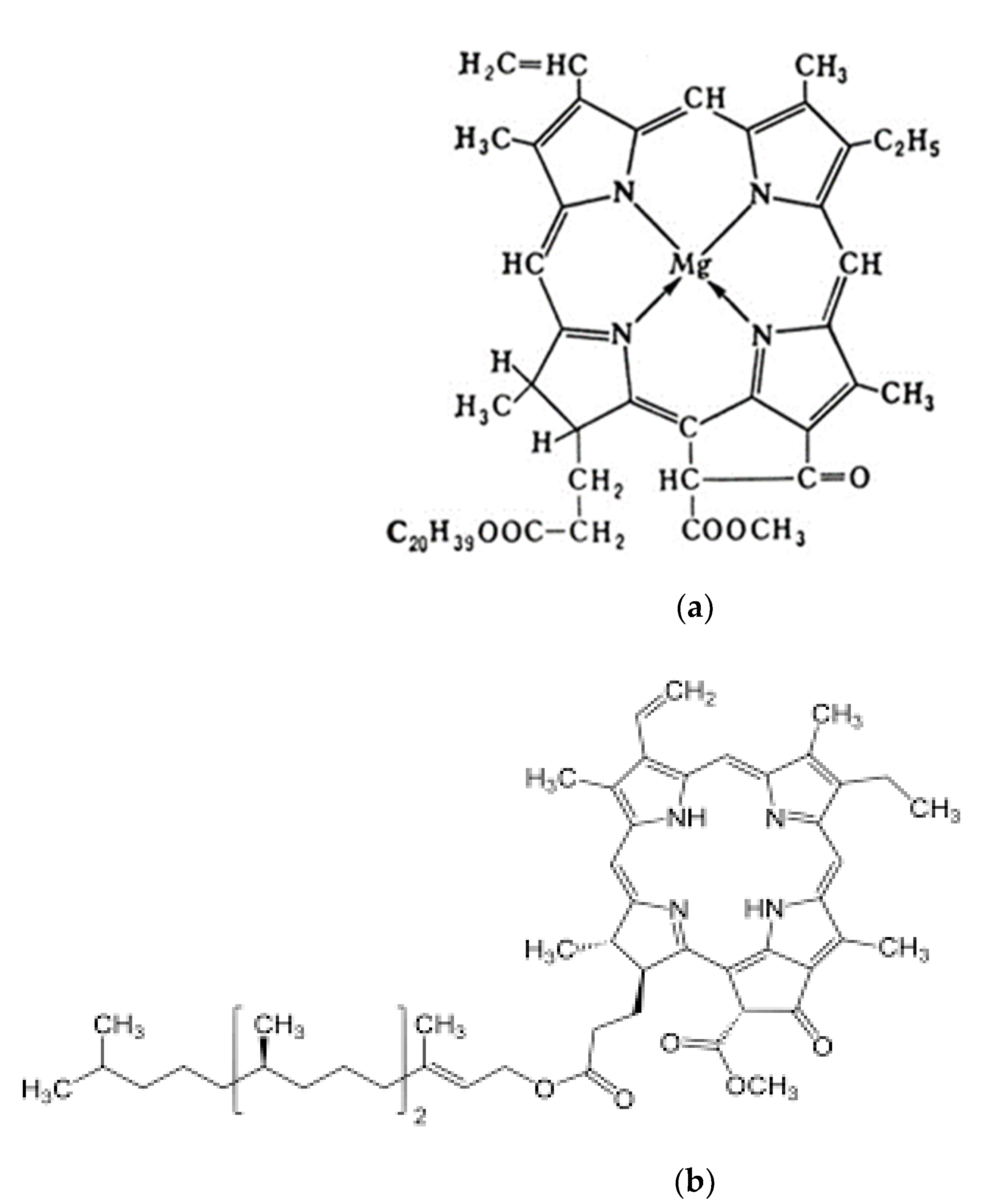 Sustainability 13 13941 g001a