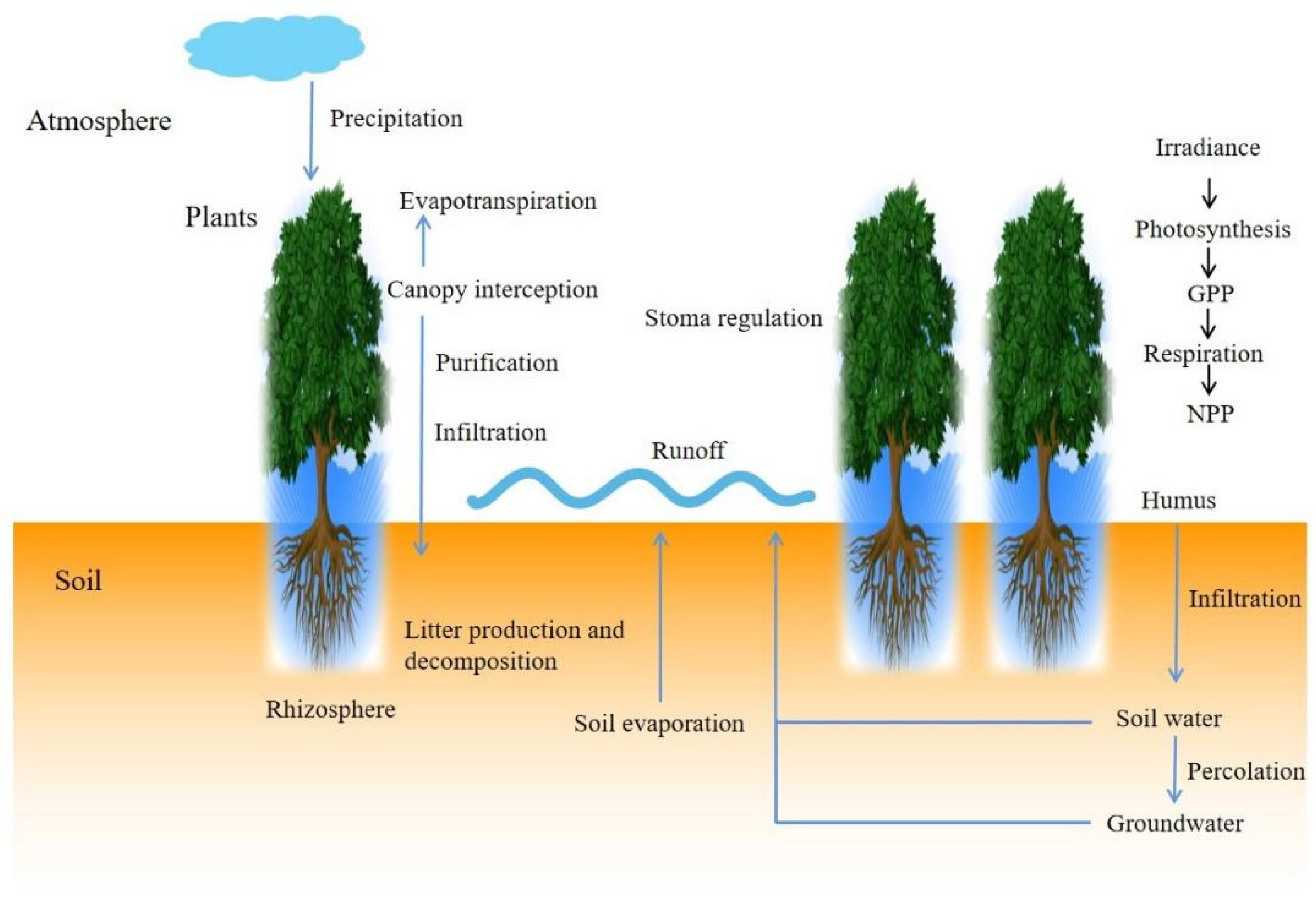 Sustainability 13 13942 g002