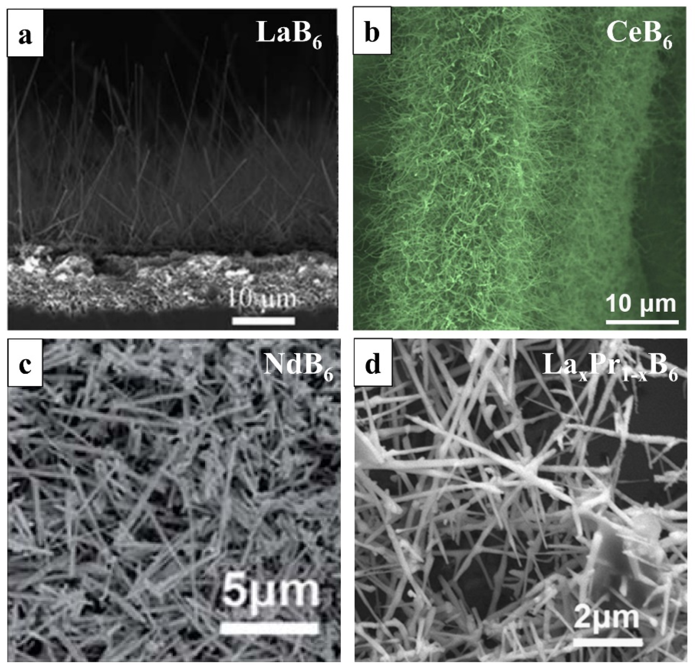 Sustainability 13 13970 g002