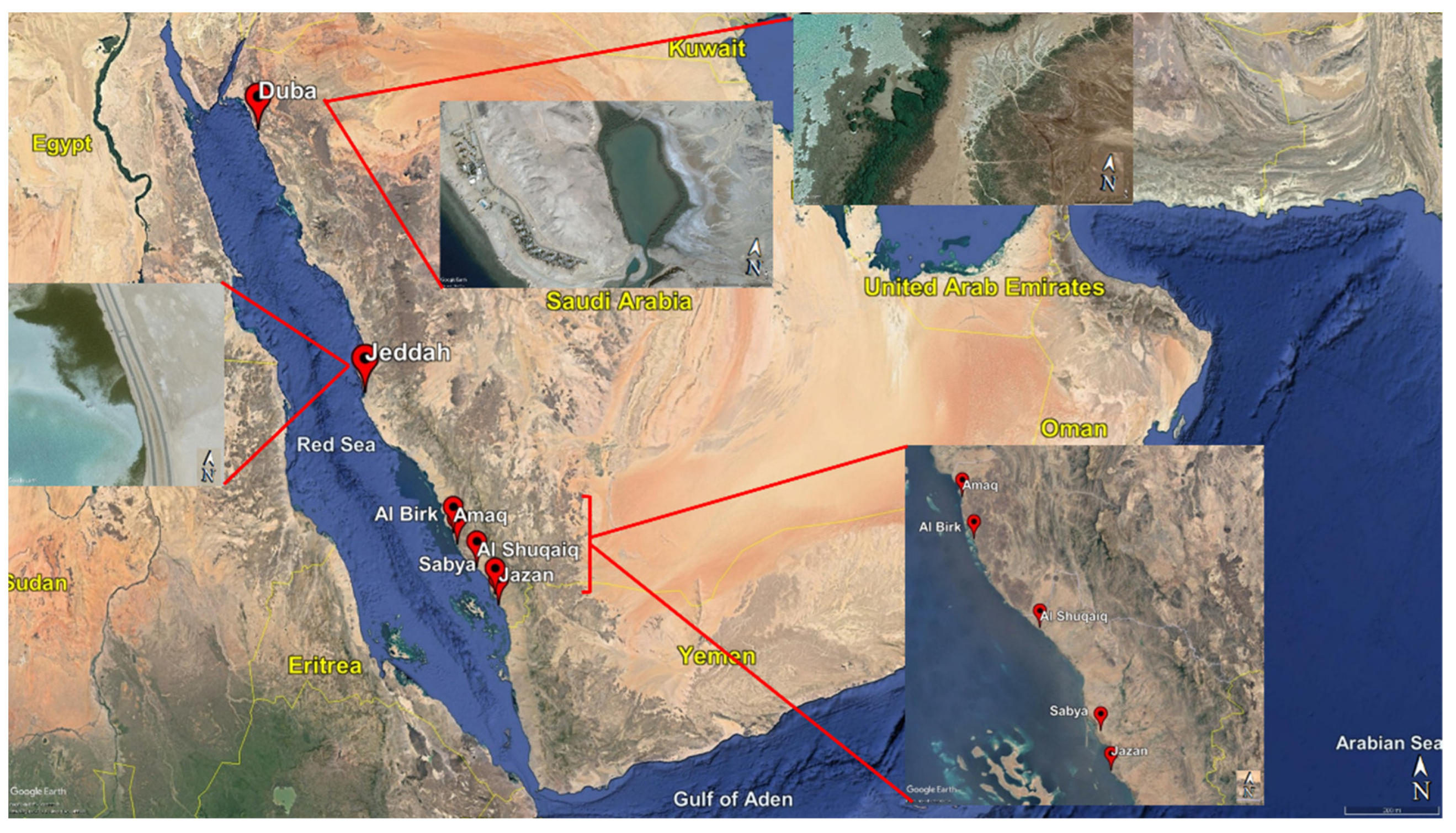 Sustainability 13 13996 g001 550
