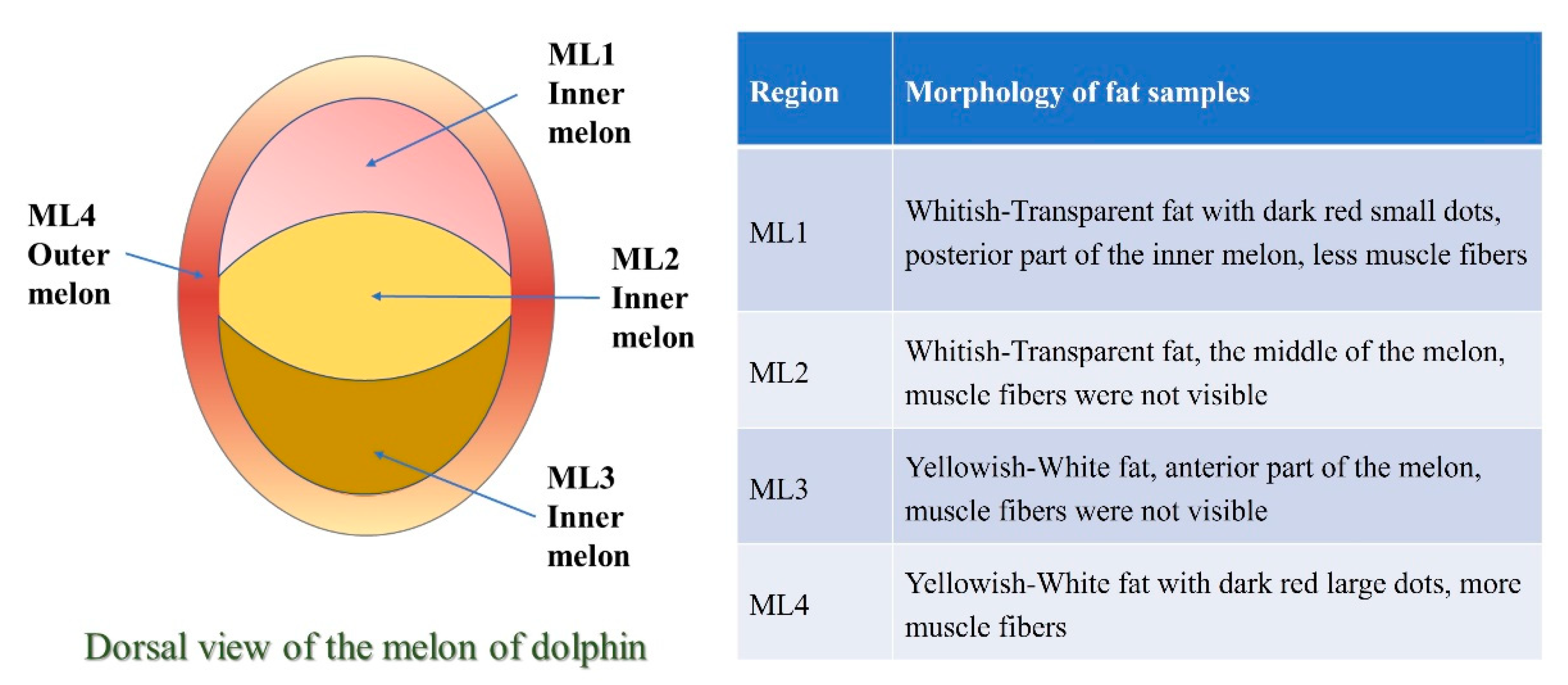 Sustainability 13 13997 g001