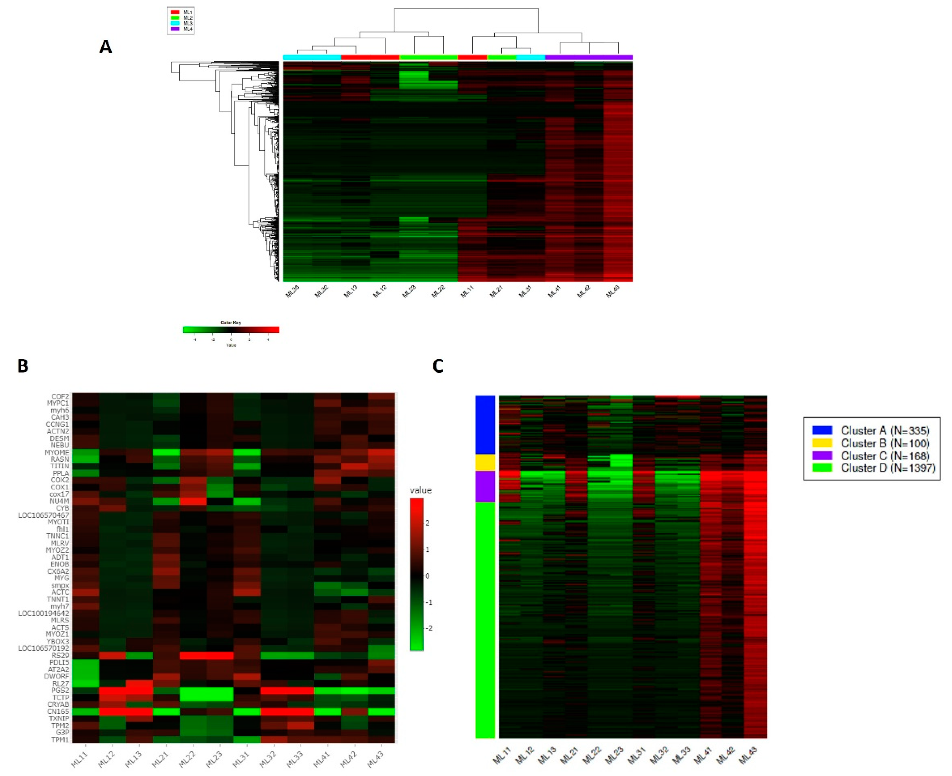 Sustainability 13 13997 g003