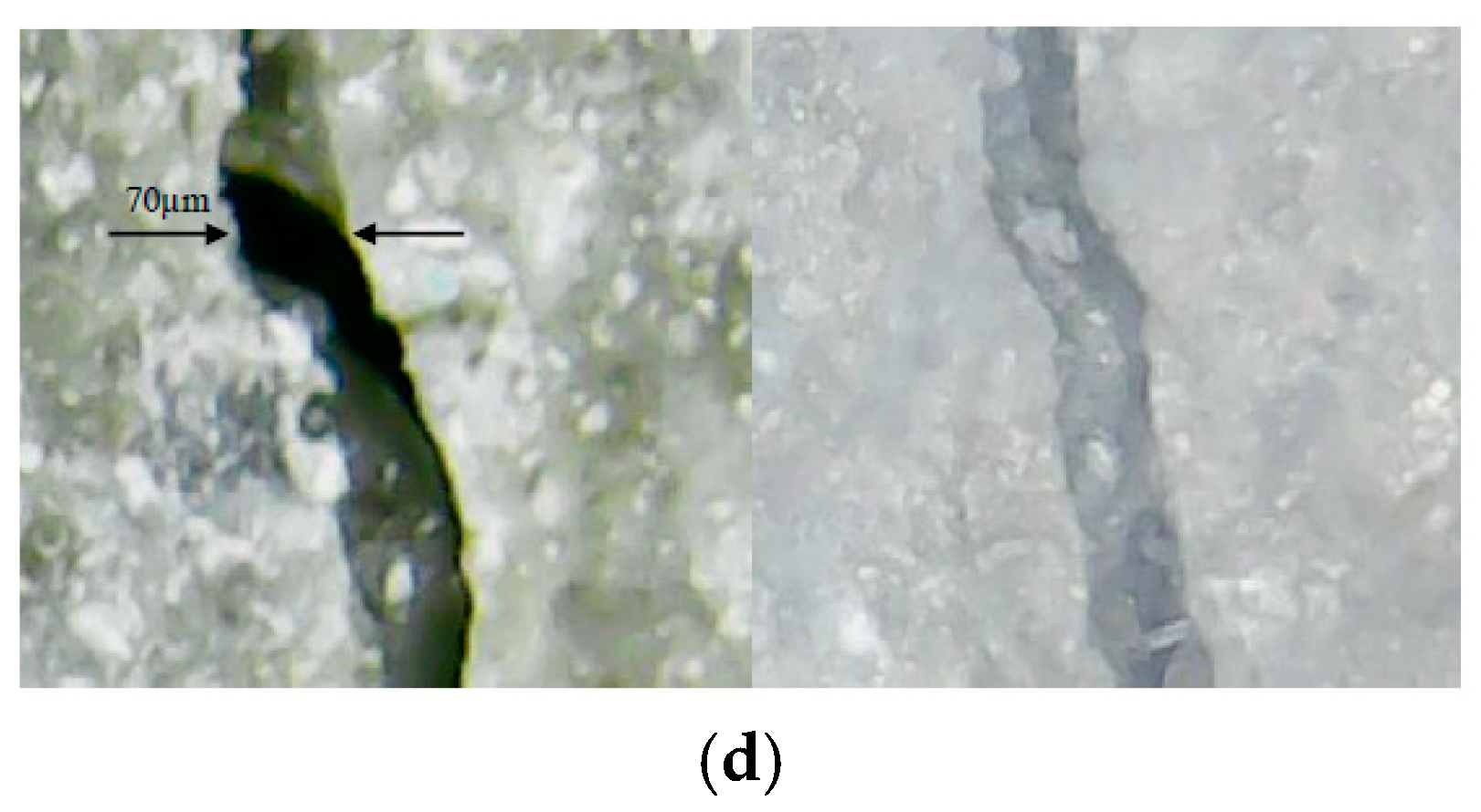 Sustainability 13 13999 g004b 550